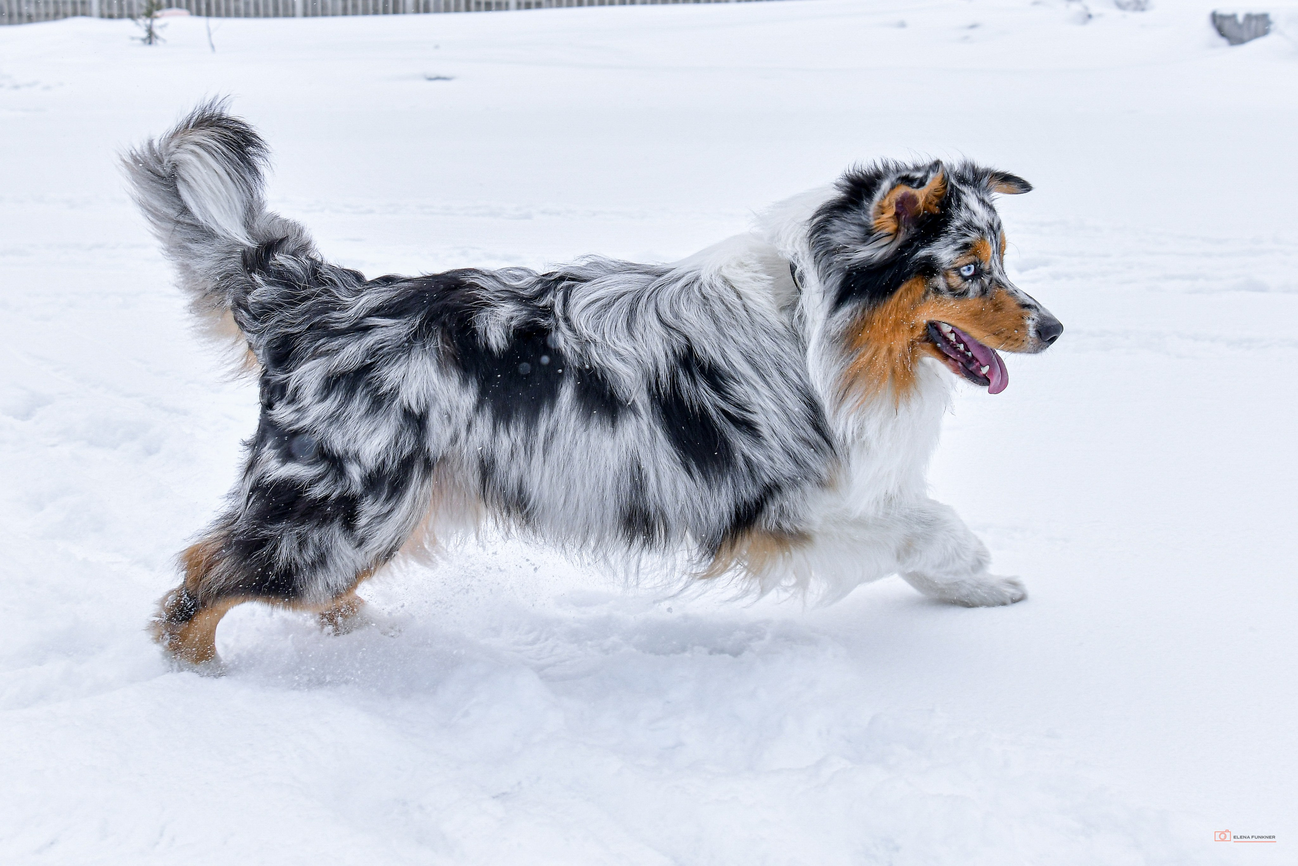 Зима. Свой взгляд через объектив