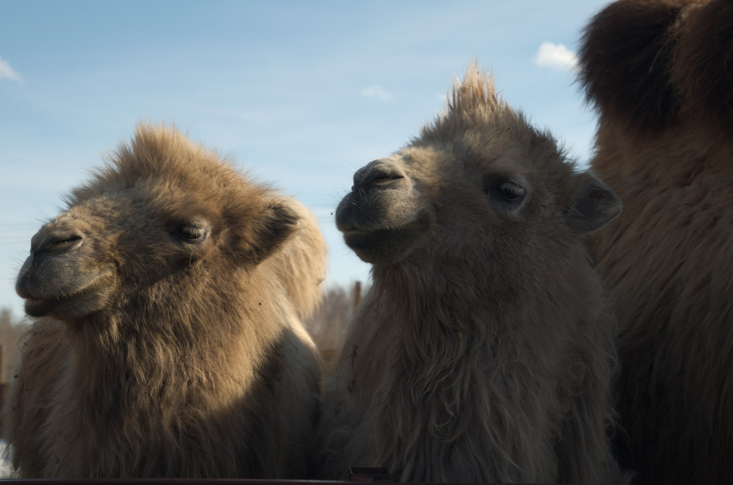 Казань | 24-26.03.2017. Галерея Фантим