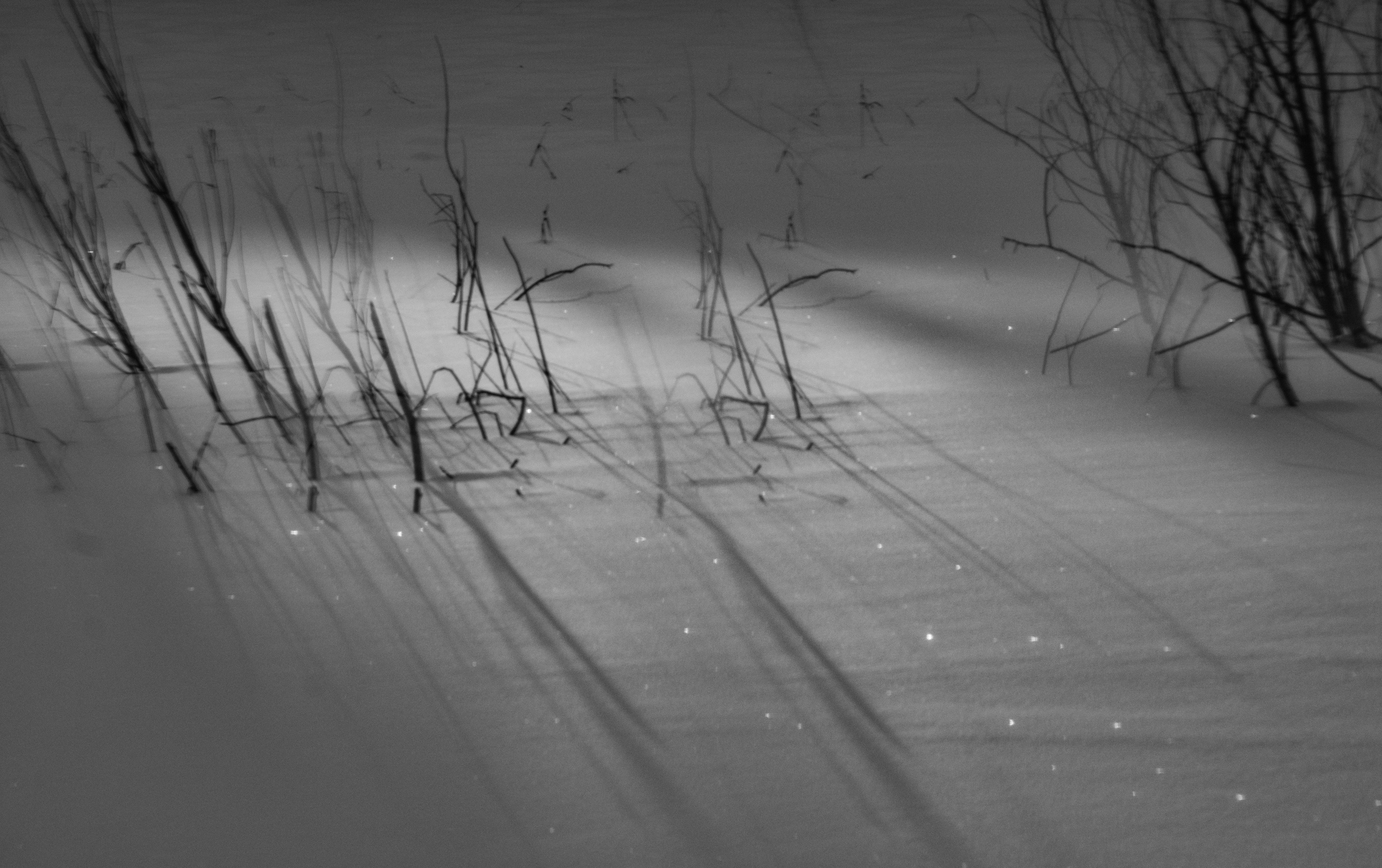 Внутривенные сны (2018-2023)