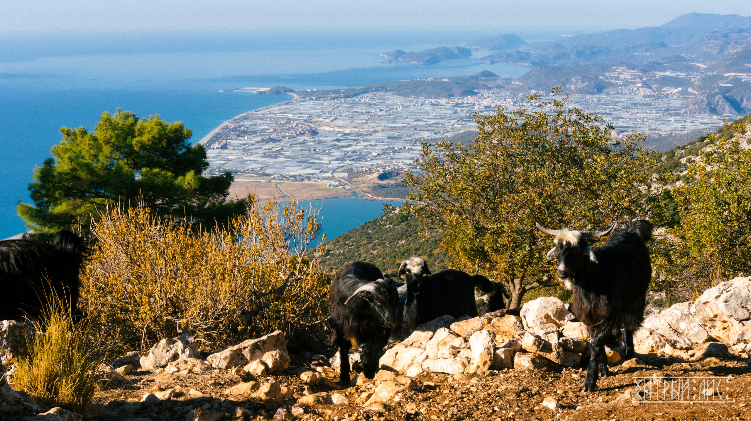 Турция. Ликийский путь. Фотограф-путешественник Самойлов Максим «Sly Fox»