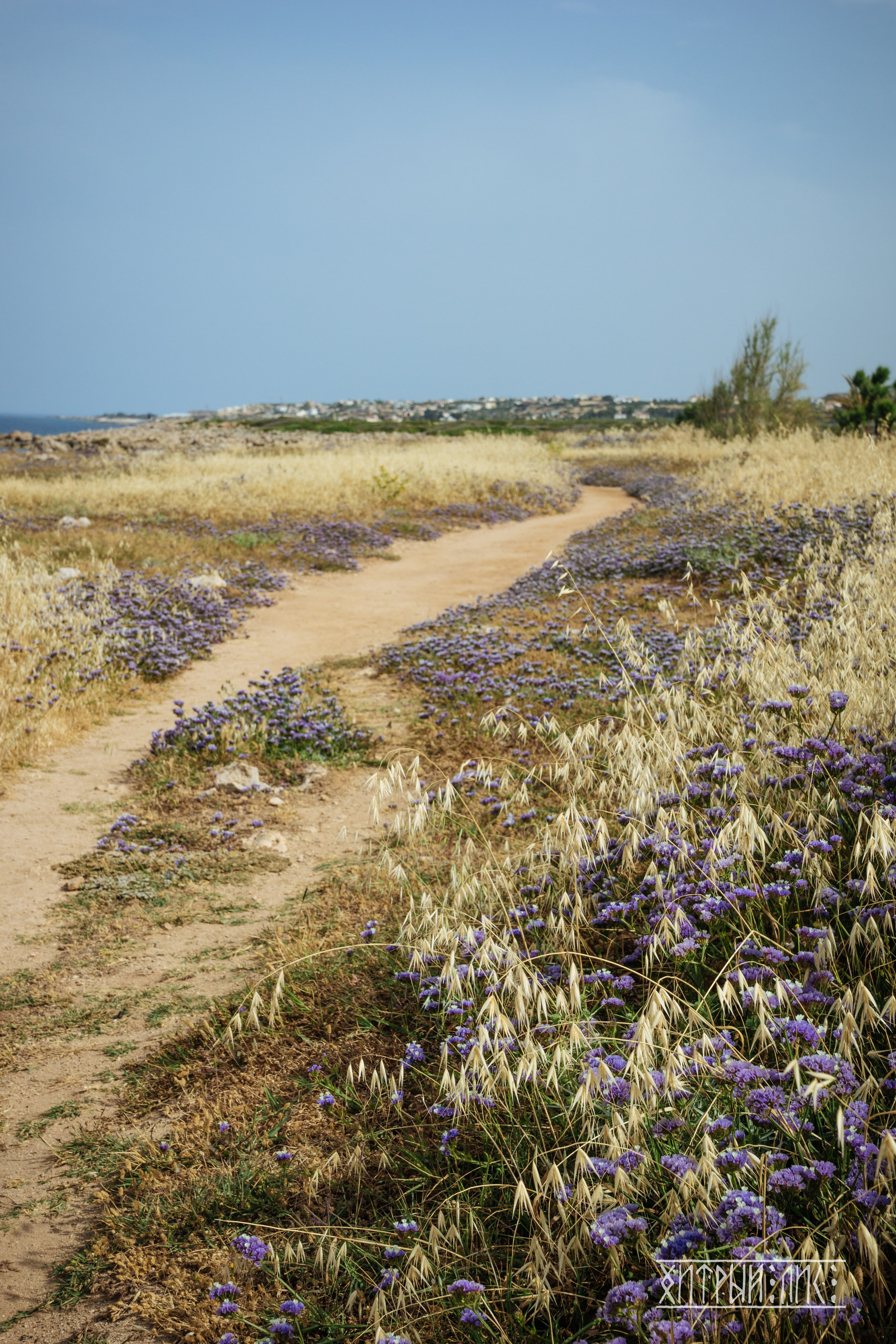 Кипр. Фотограф-путешественник Самойлов Максим «Sly Fox»