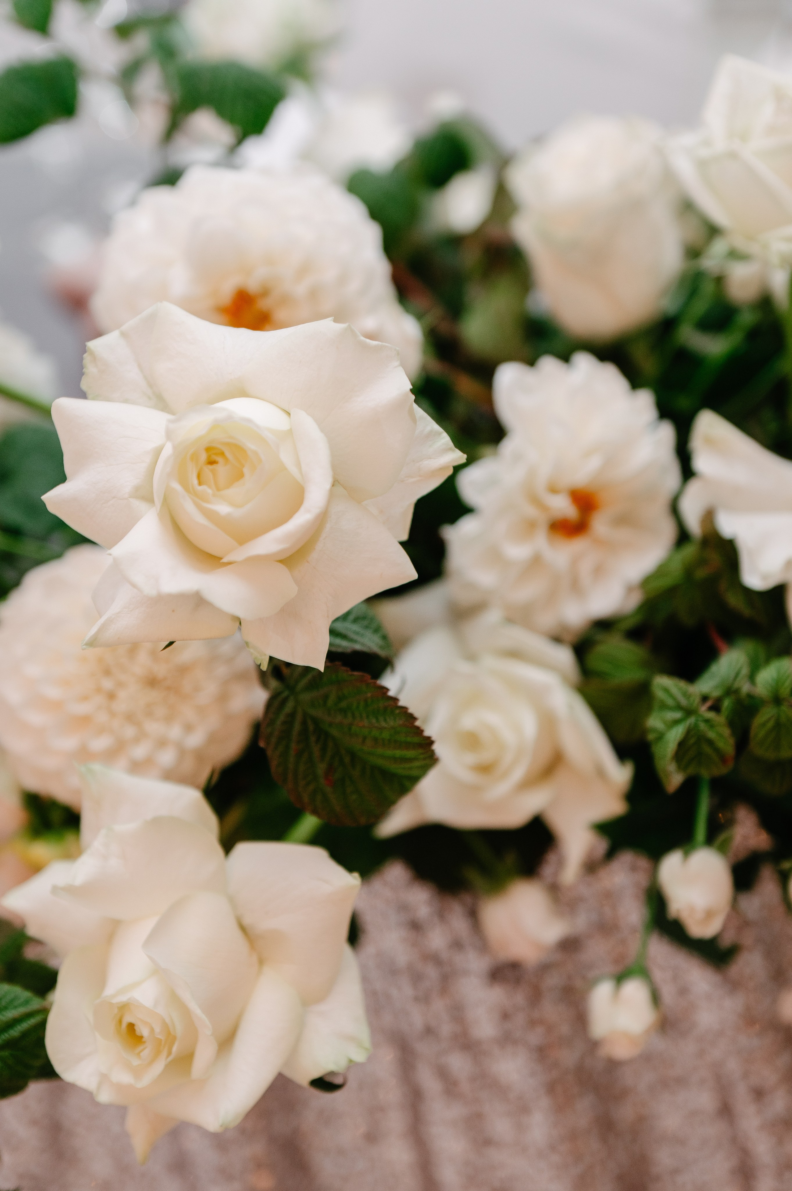 Н&Т. Фотограф Рязань. Дарья Дмитриева