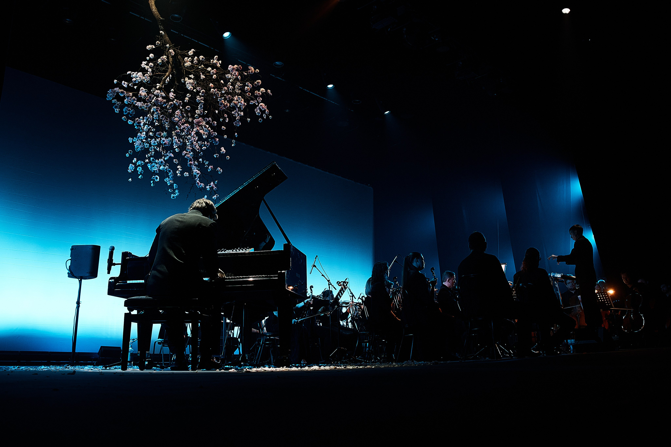 Никола Мельников / 2024. OOPS