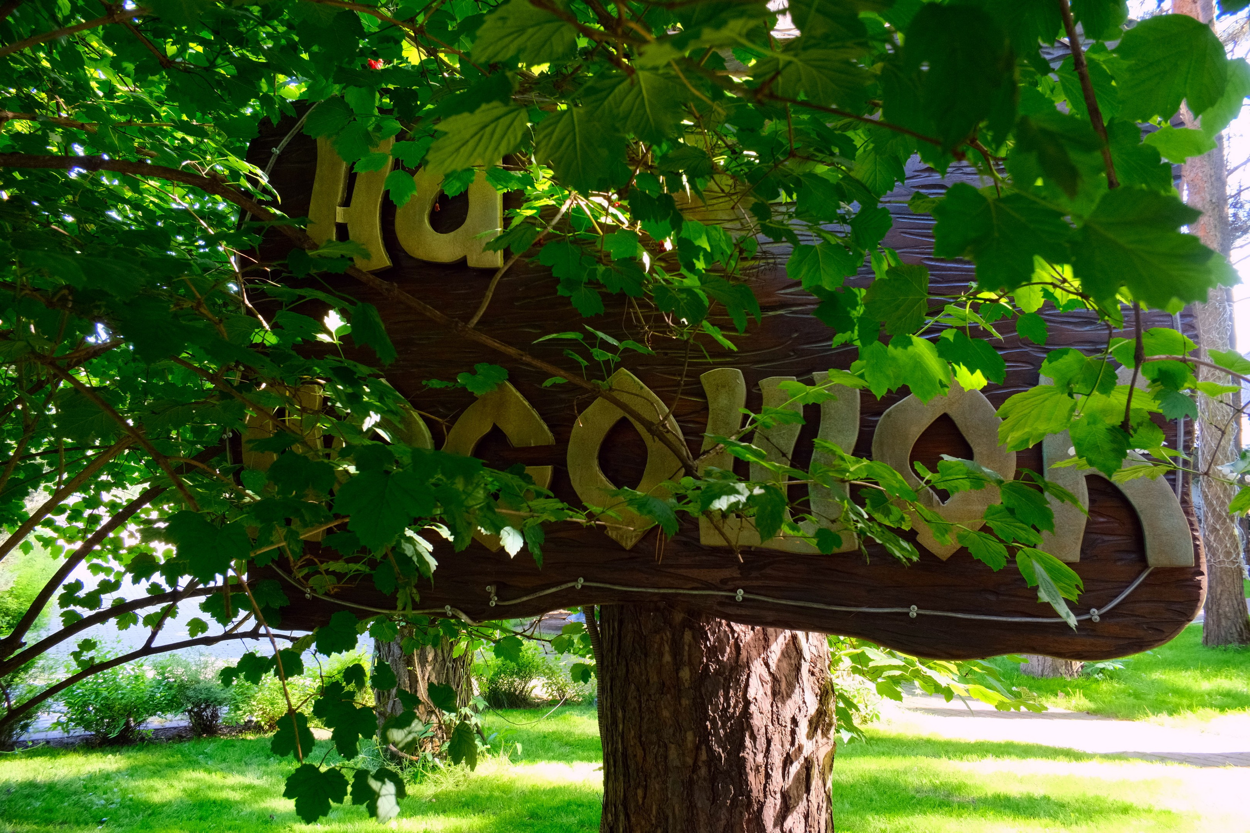 Улица, люди, жизнь…