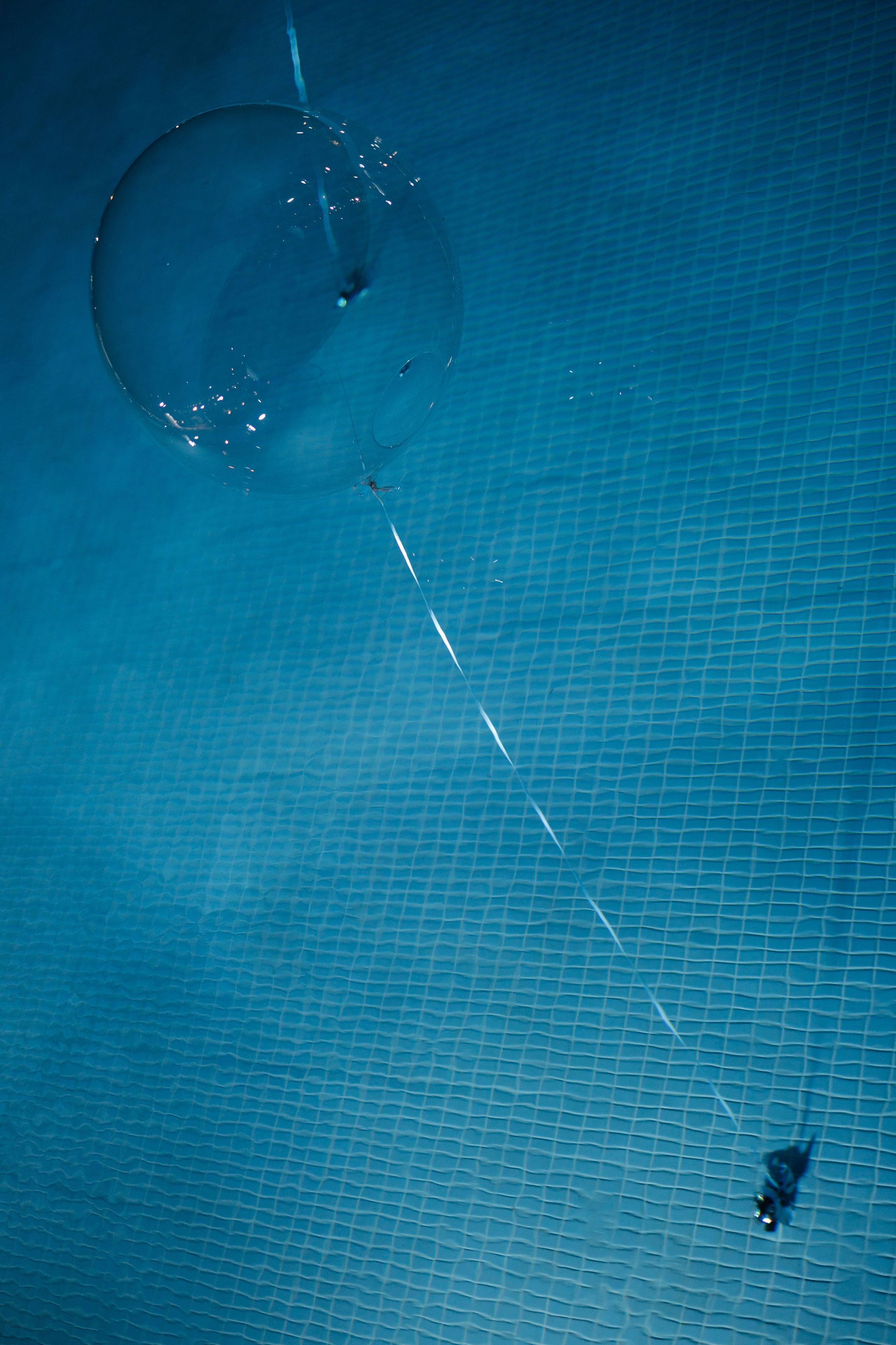 Для конкурса. Свадебный фотограф Москва Мотеюнайте Виктория