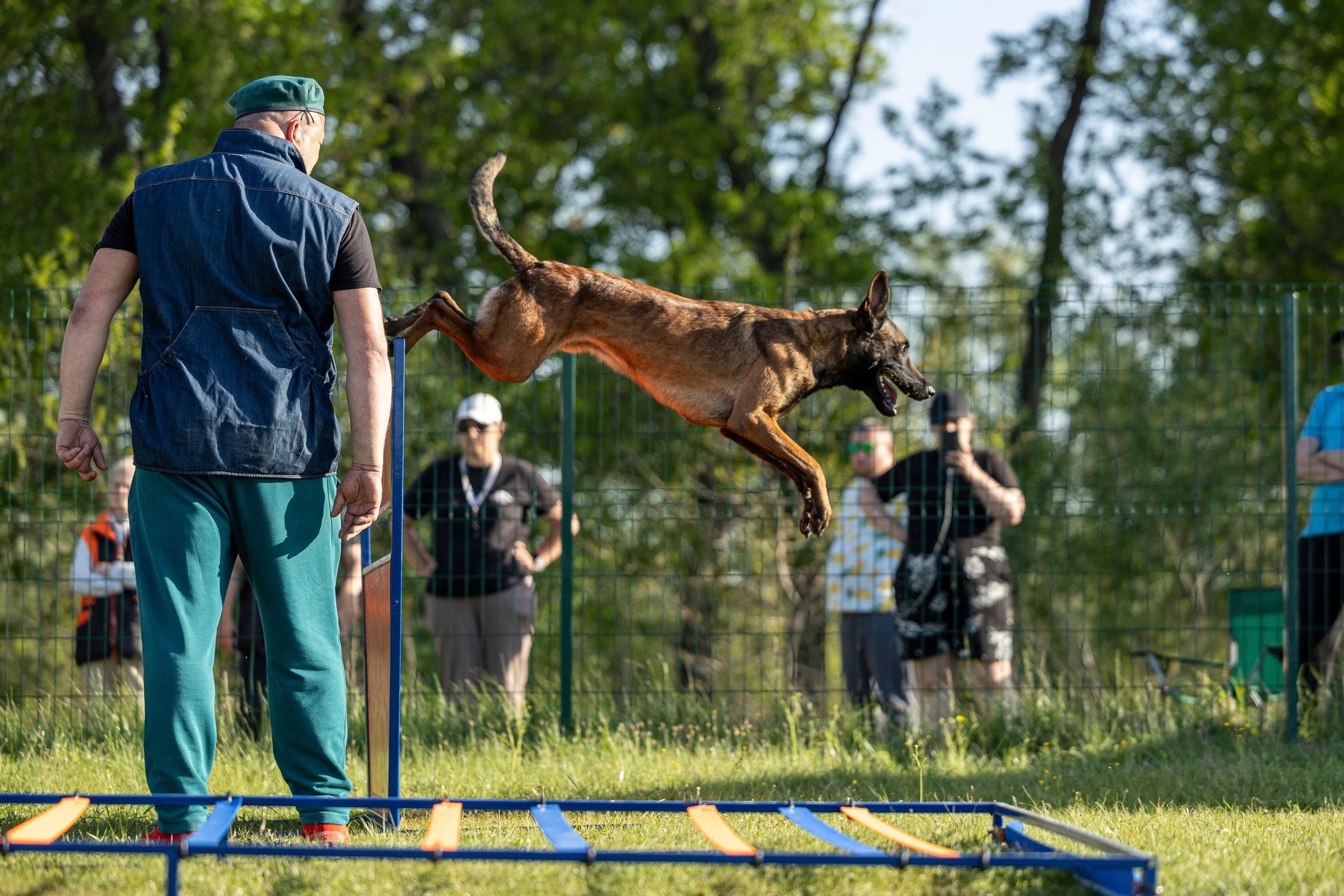 Испытания по мондьорингу в Нижнем Новгороде. Фотограф-анималист Анна Маринич