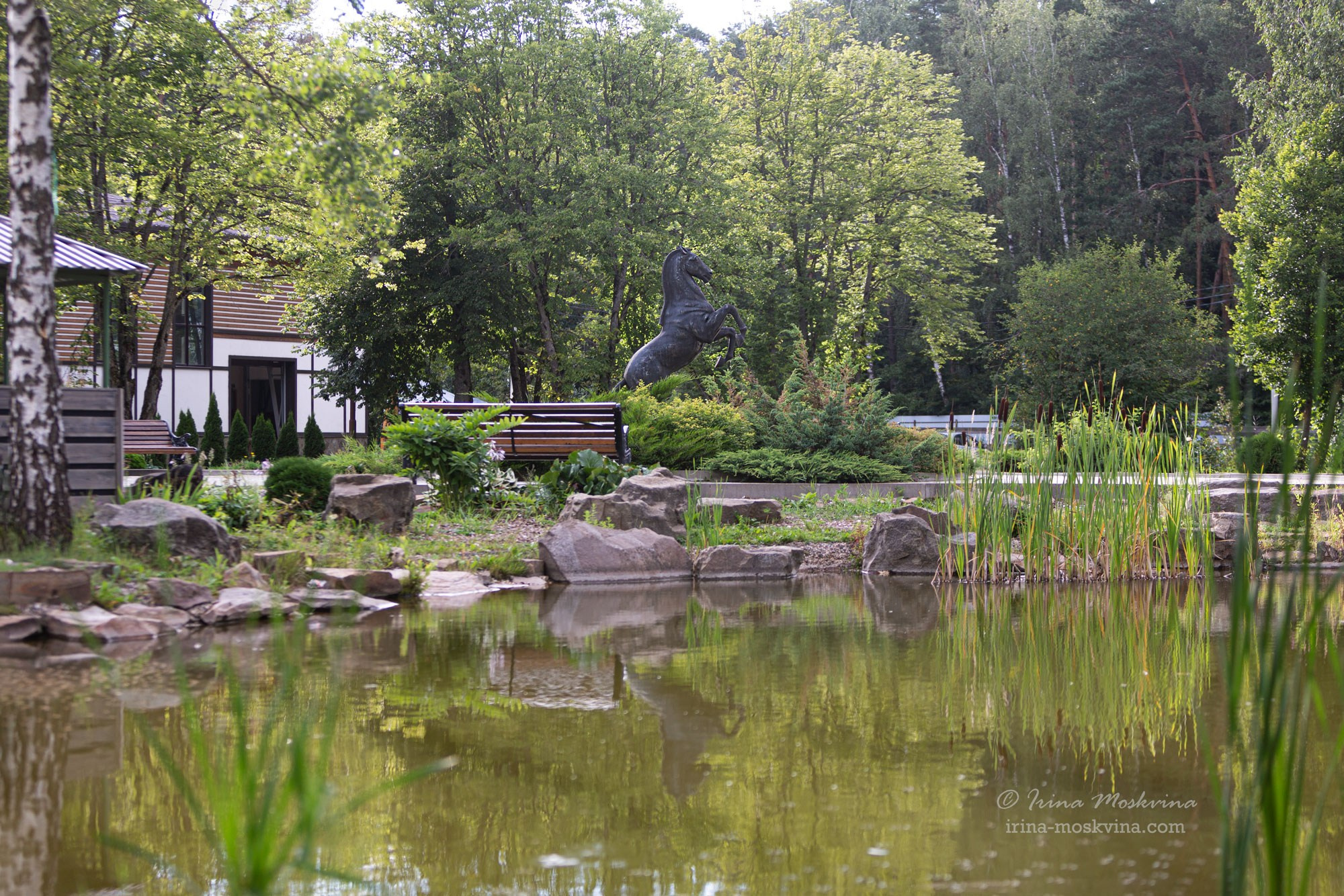 КСК «Алмазово» | Московская область | июль 2024. Ирина Москвина | фотограф | Москва