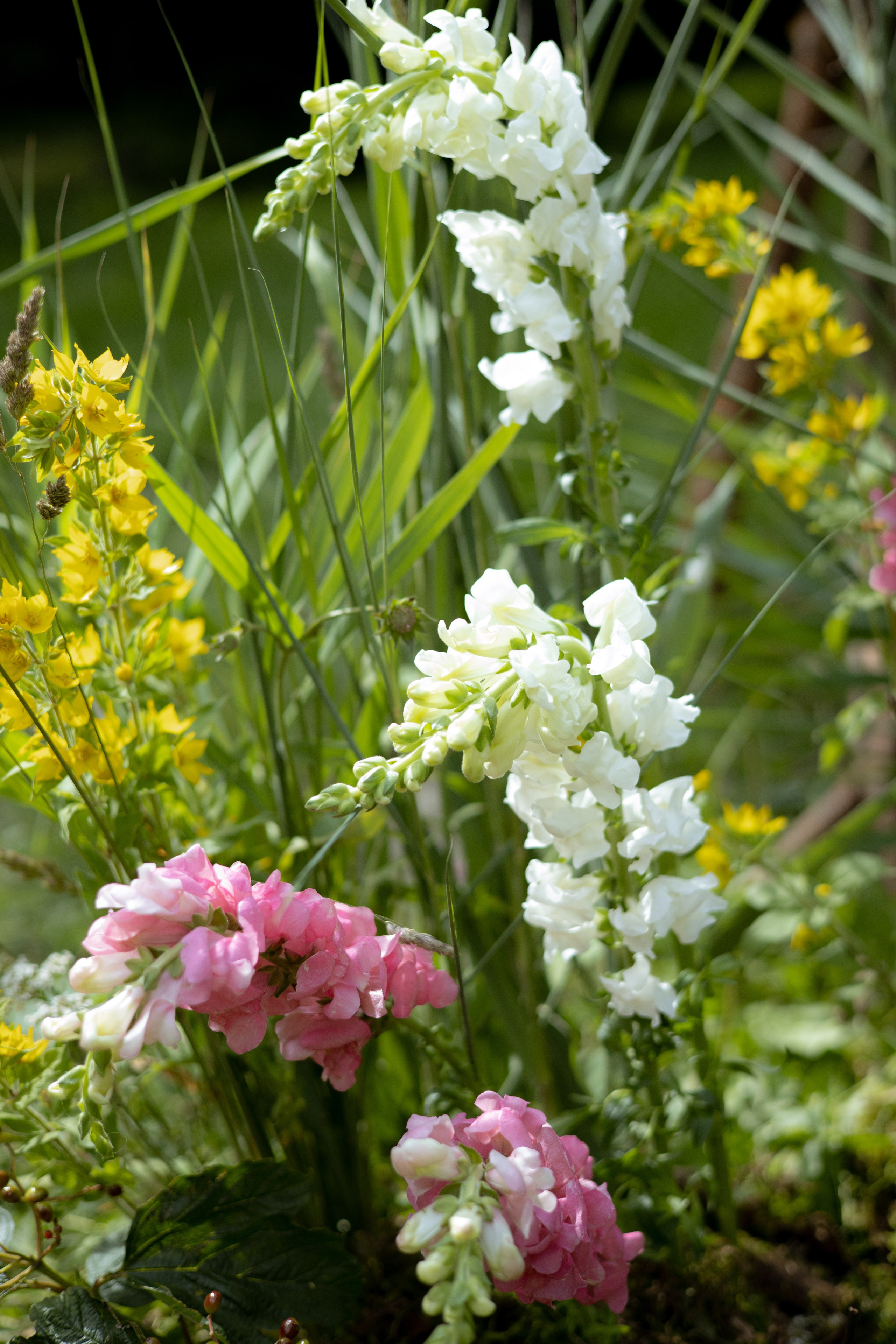 Павел & Полина. Оформление свадеб, декор свадеб Вера Маркова, Москва