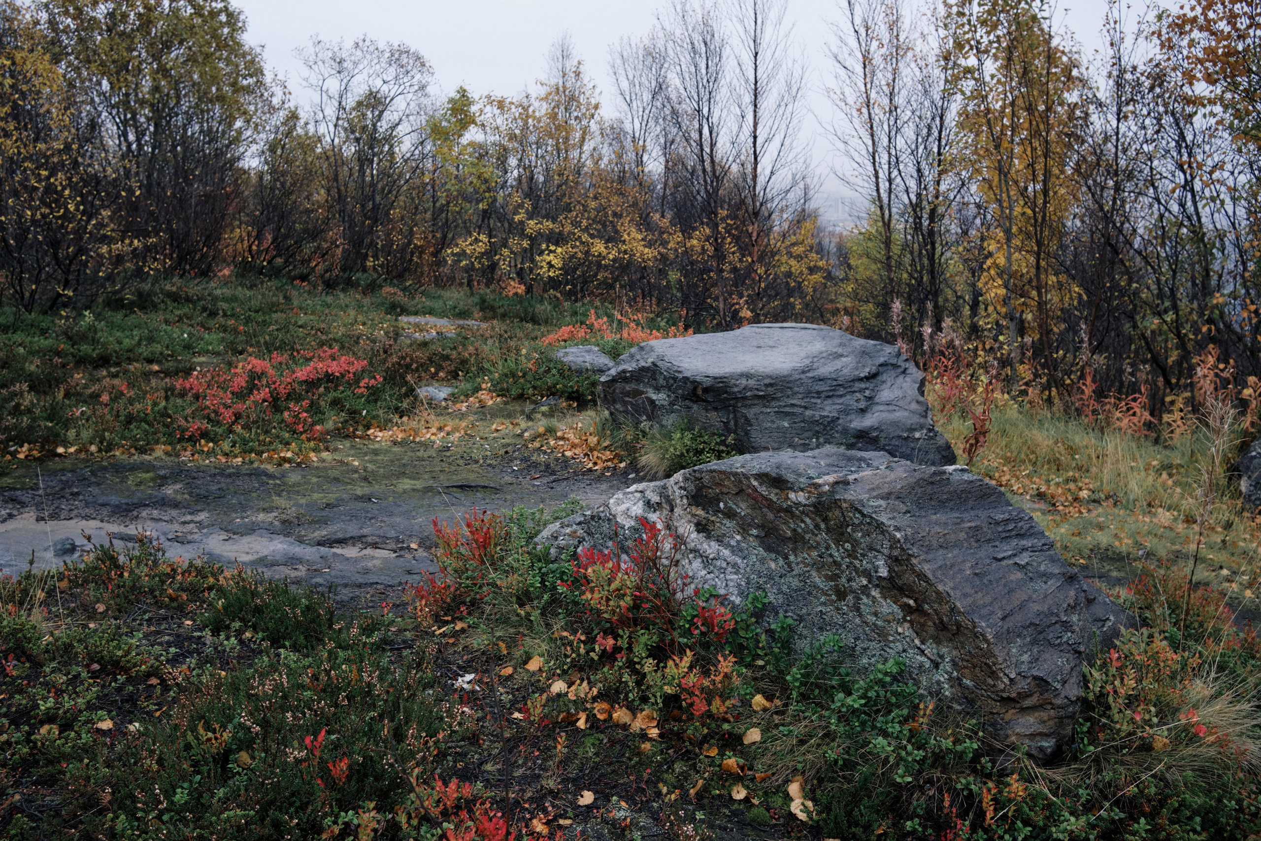Поездка в Мурманск. Заметки и фото. Елена Павленко. Фотограф. Москва