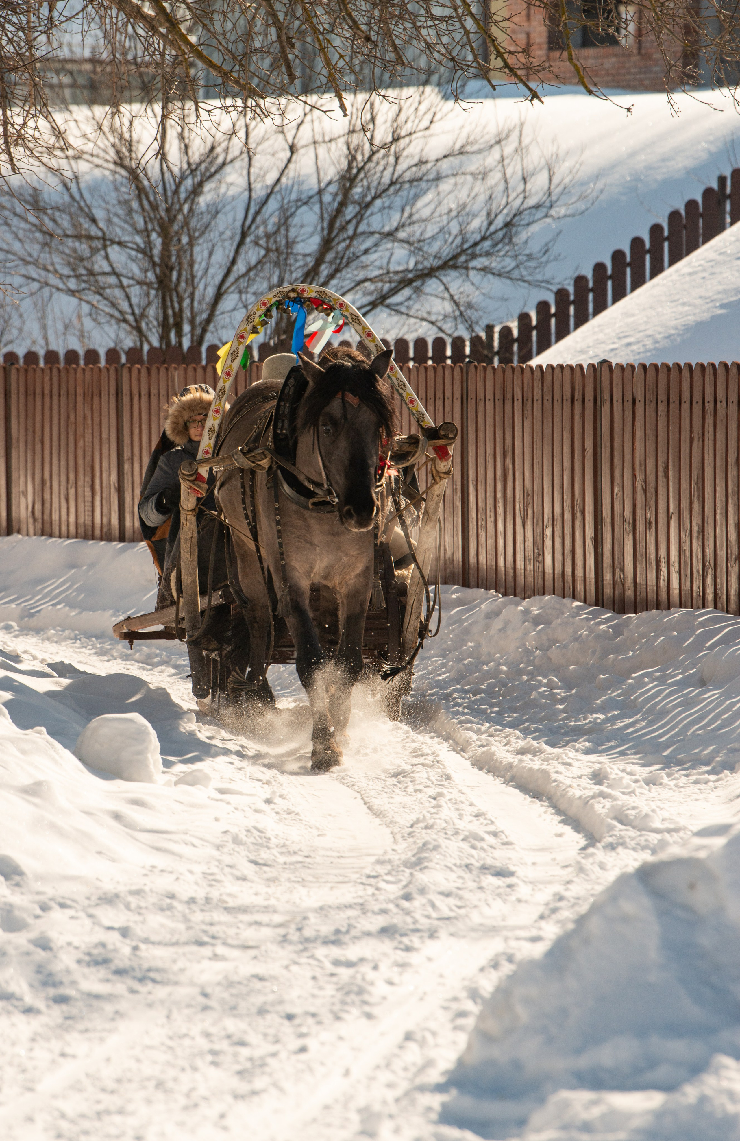 Масленичные гулянья в Боковке. Конный фотограф в Саратове Юлия Иванова