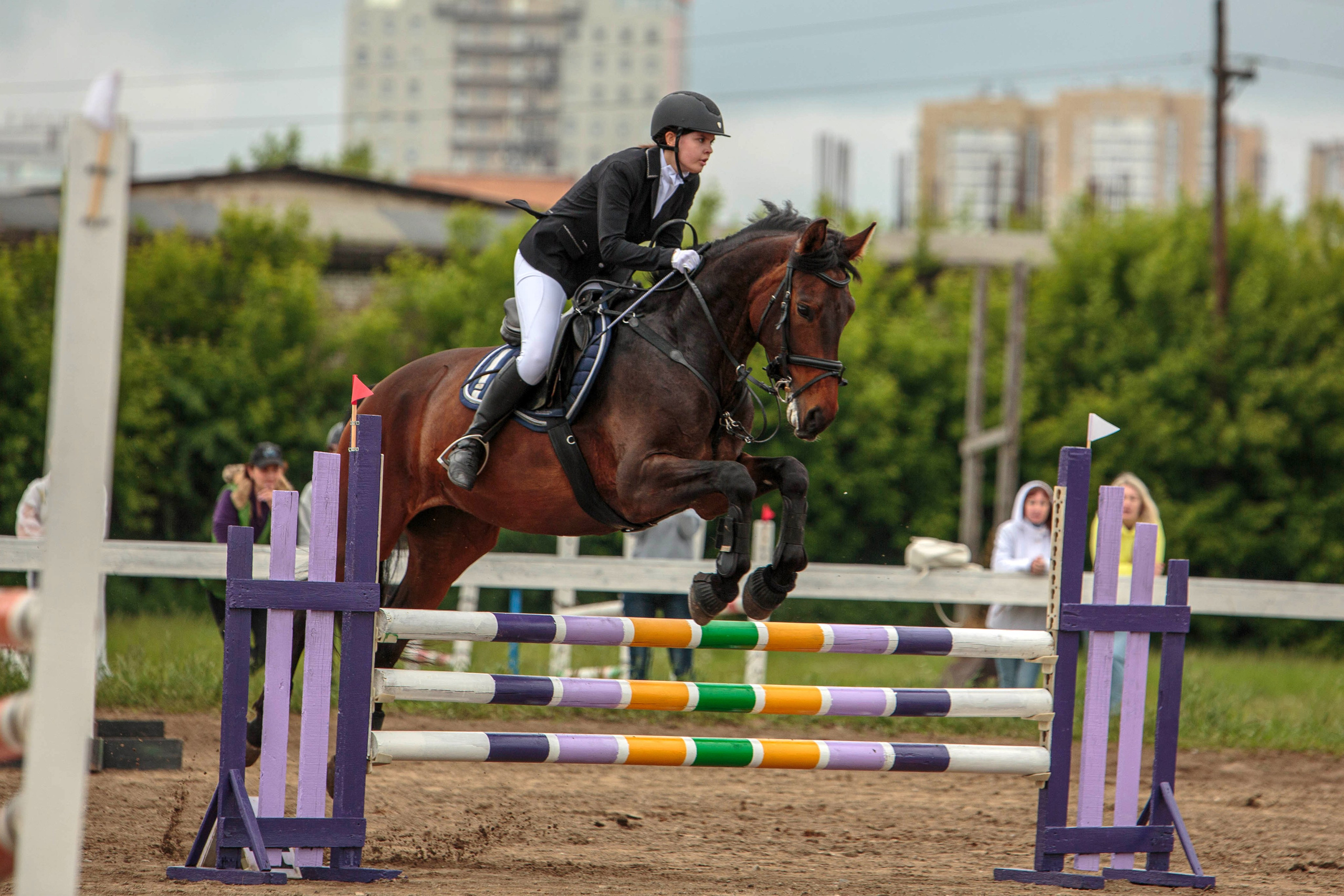 2024. Конный фотограф в Красноярске — Любовь Похабова