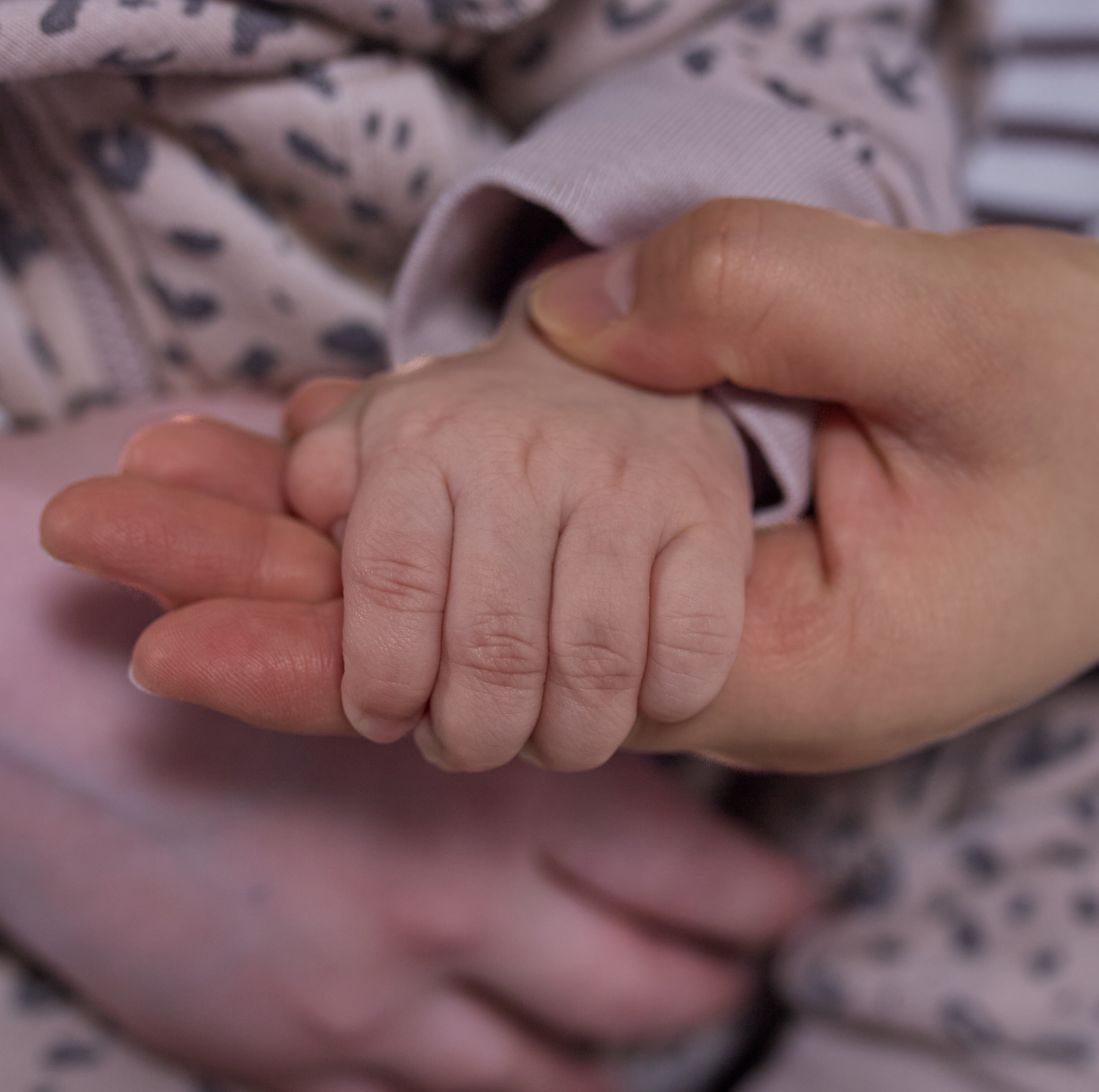 Семейная фотосессия. Салиндер Юлия — фотограф г. Салехард