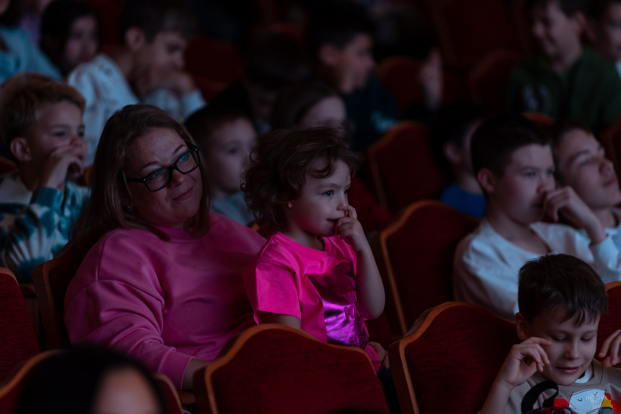 Ёлка. ФОТОГРАФ ИВАН НОВИКОВ | СТАВРОПОЛЬ