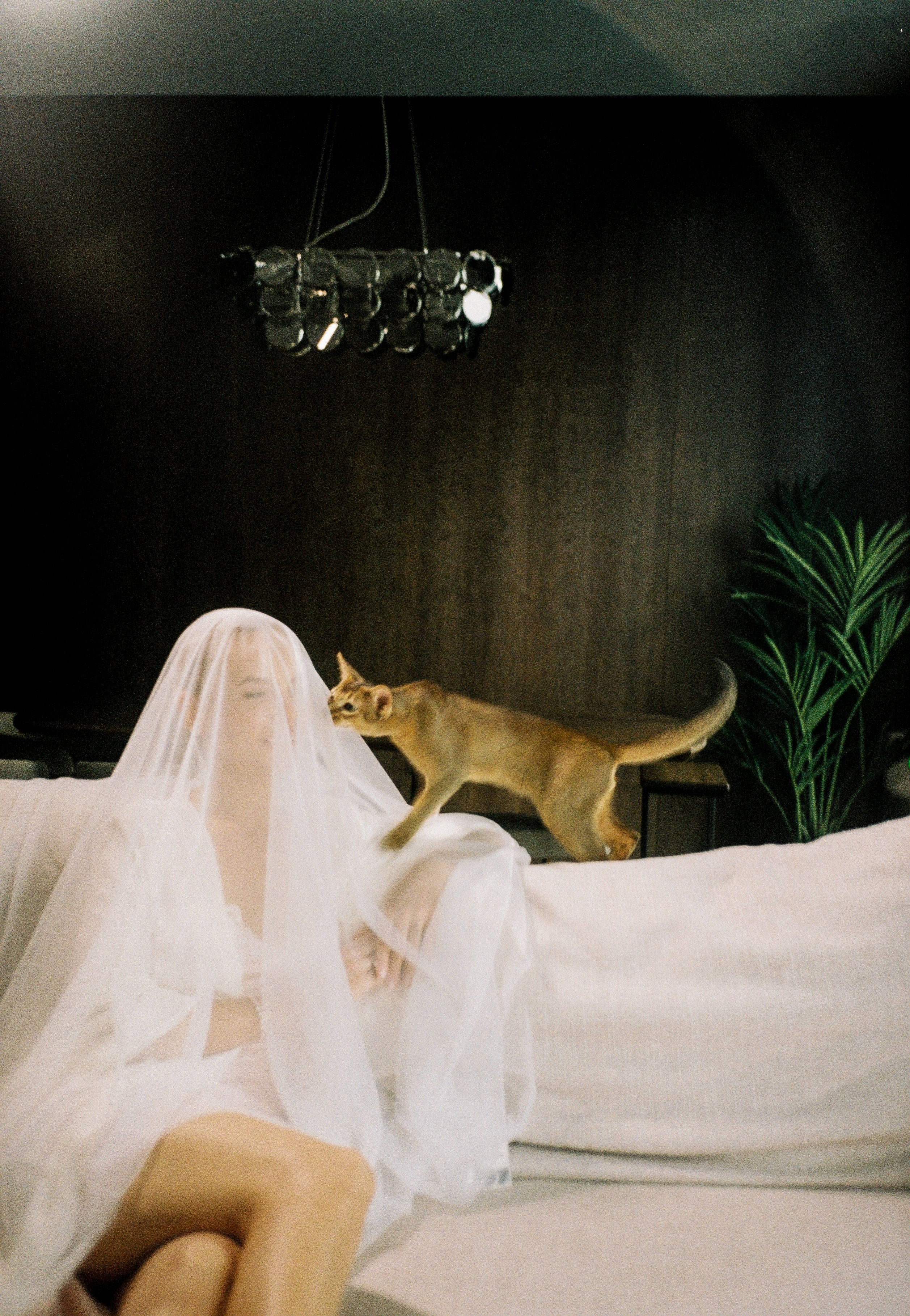 ПЛЕНКА. Anton Prokopenkov Wedding and Portrait Photographer