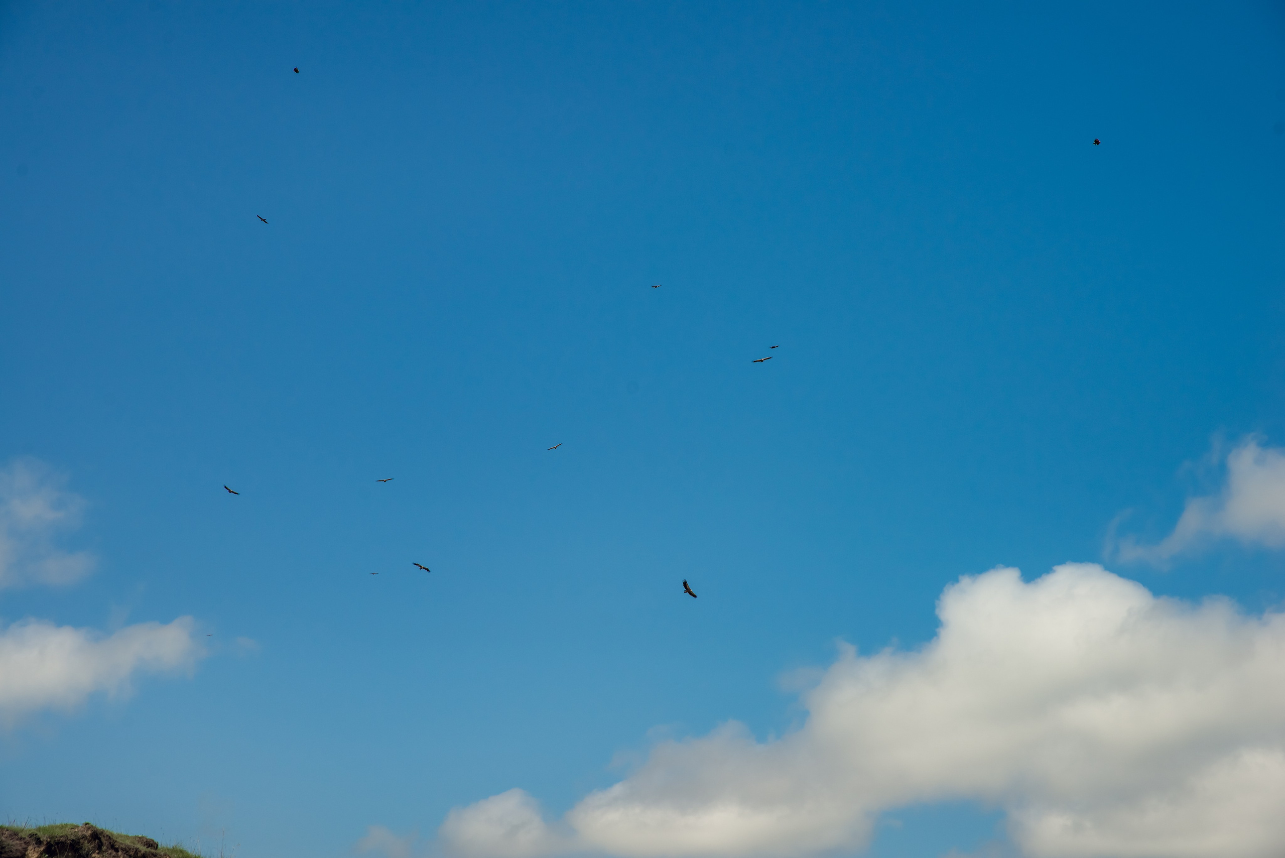Дагестан. Фотограф Крещение Венчание Москва