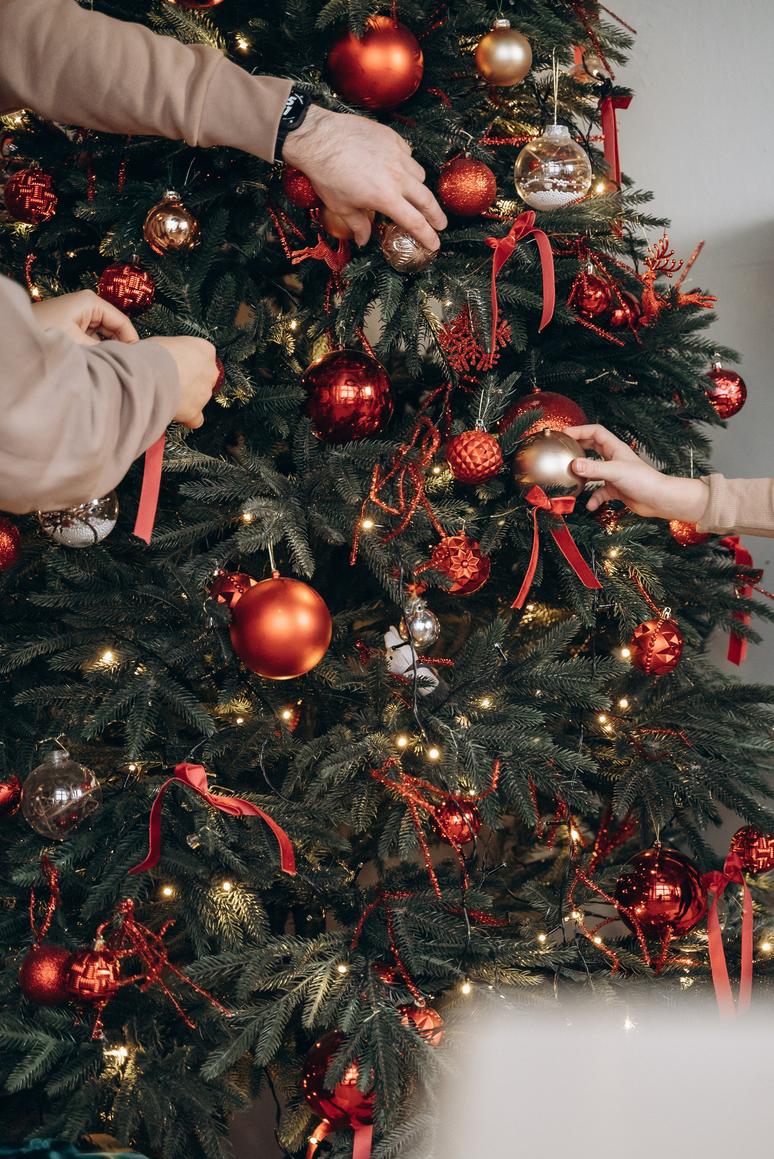 Новогодняя для большой семьи. Семейный фотограф в Минске Дарья Дреко