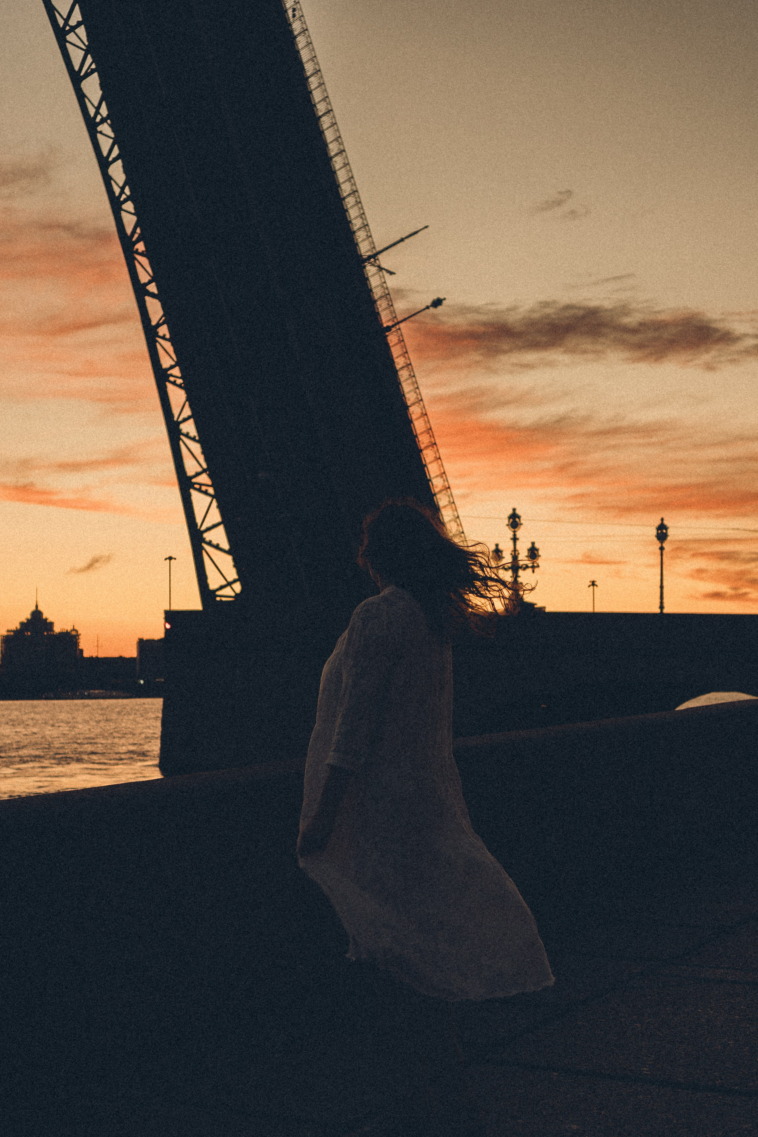 РАССВЕТ С РАЗВОДНЫМИ МОСТАМИ. Профессиональный фотограф, Санкт-Петербург — Виктория Богомолова