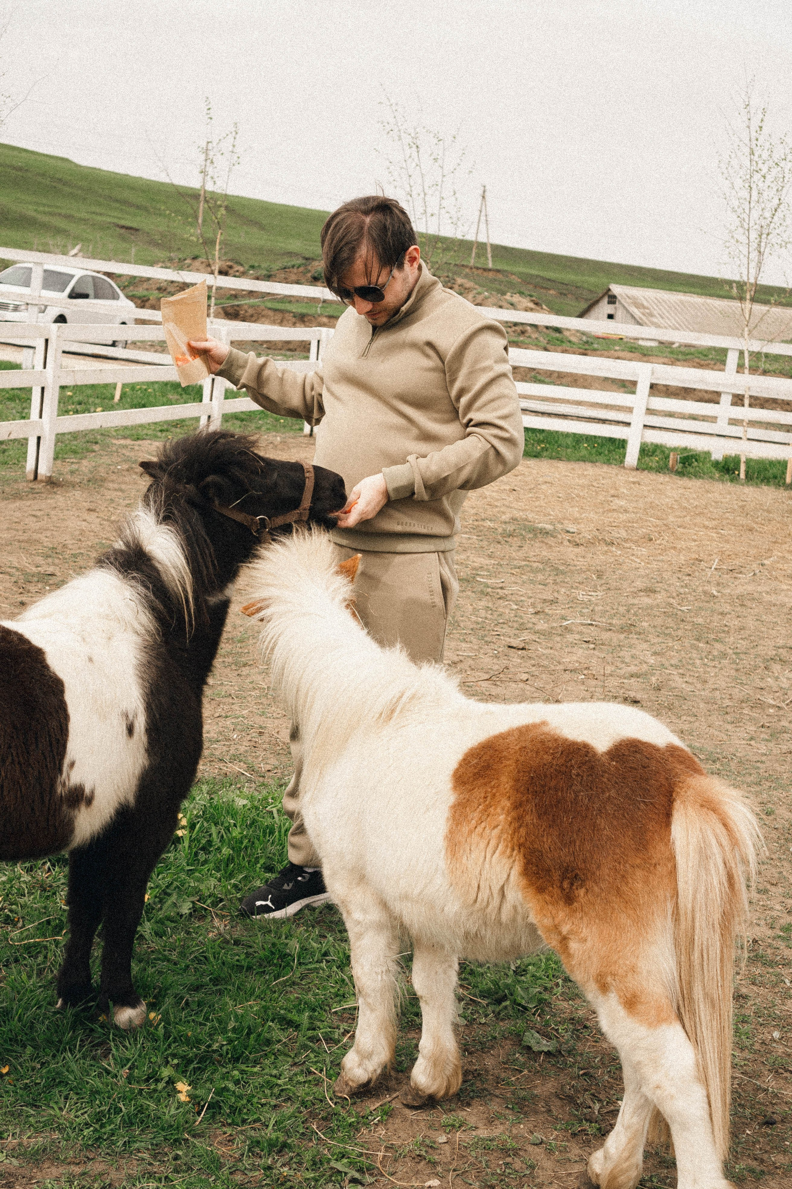 Ферма Альпак. Профессиональный фотограф, Санкт-Петербург — Виктория Богомолова
