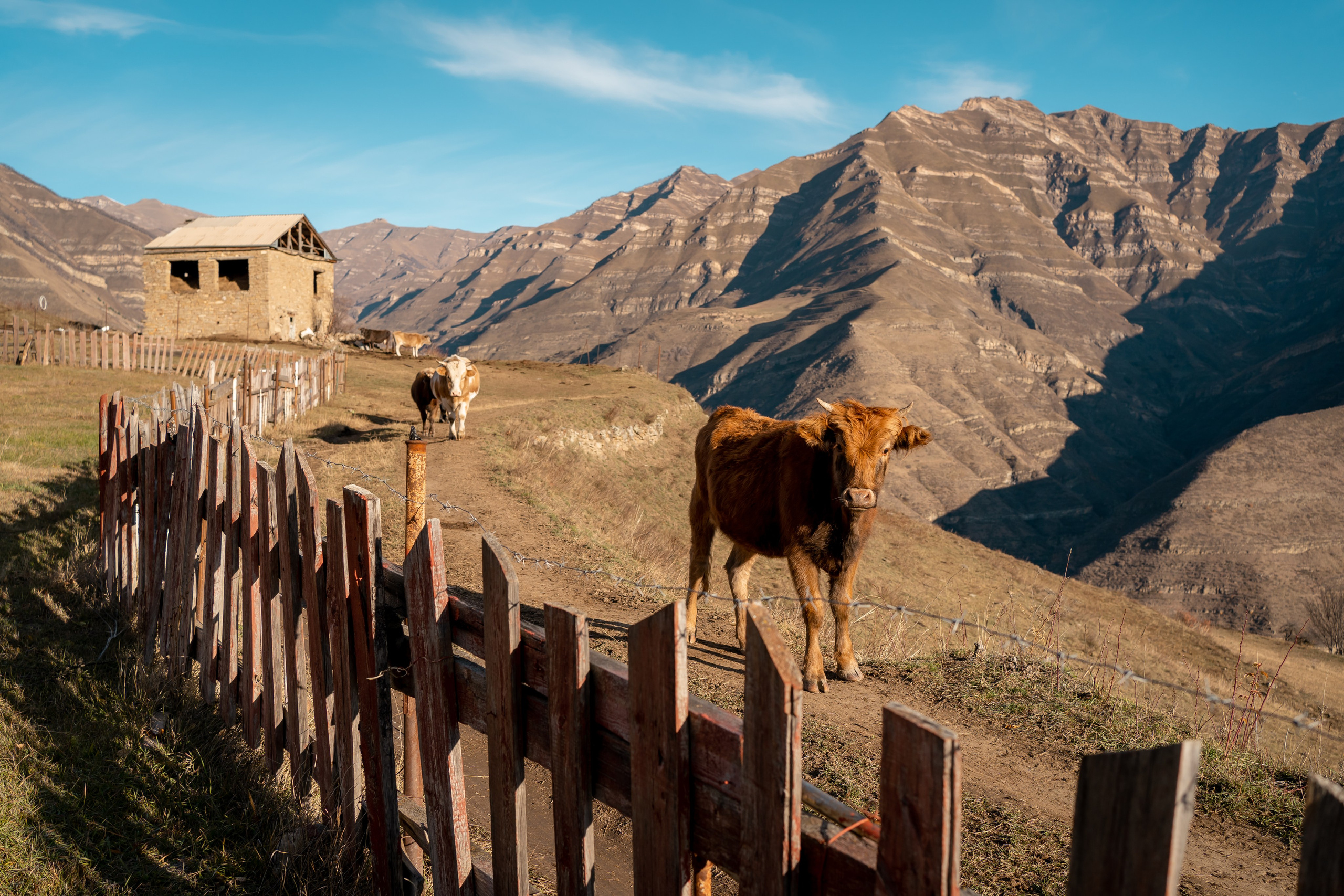 Дагестан. Семейный фотограф Варвара Сорока в городе Москве