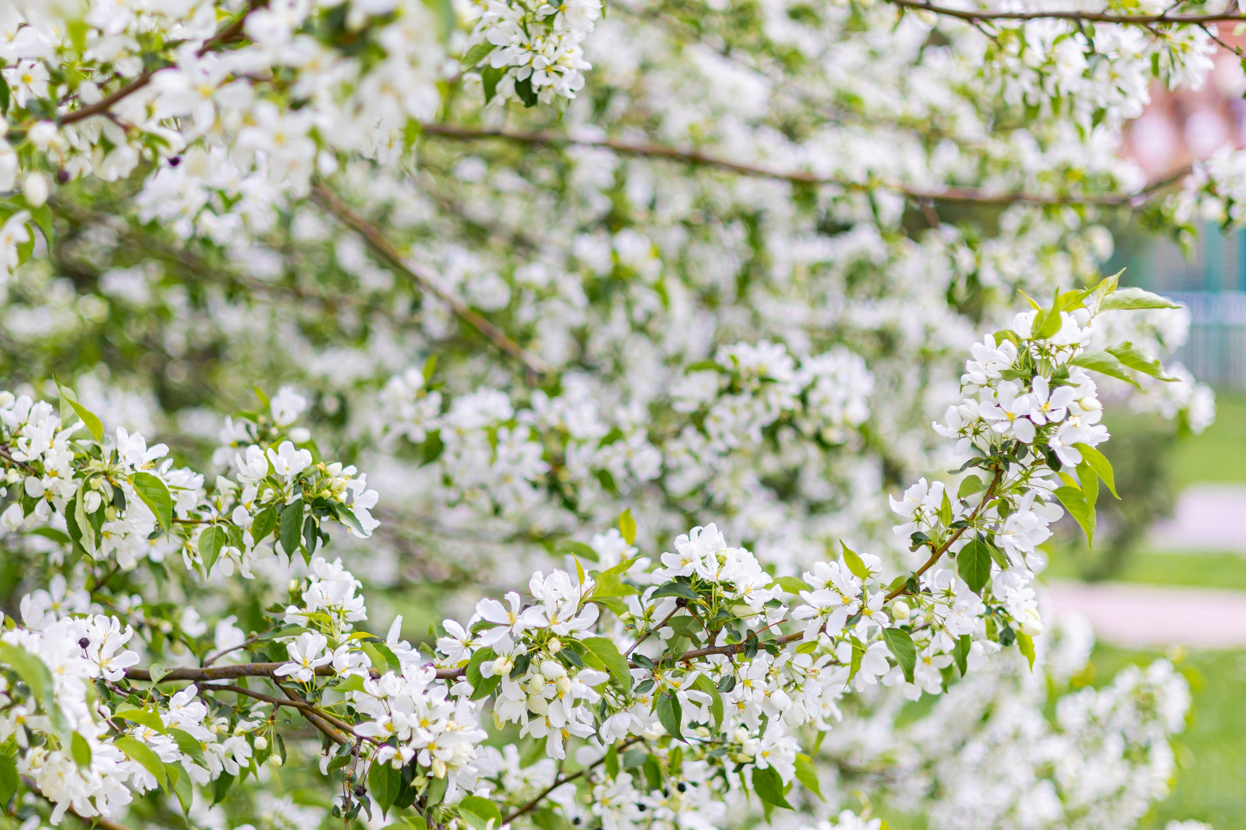 Коллекция пейзажных фотографий. Photographer Sonkina Tatiana (Tanya Ash)
