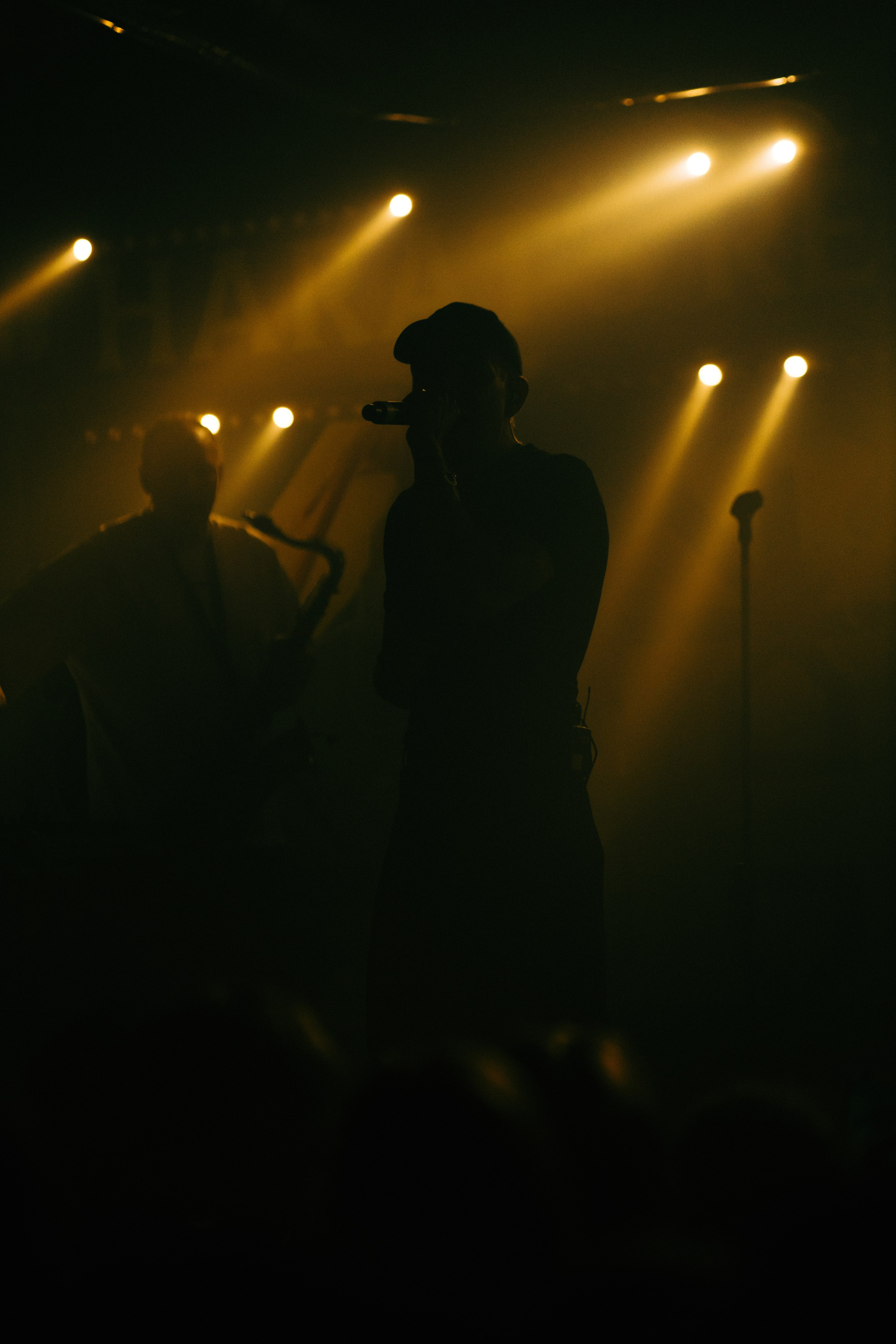 Концерты. Портфолио