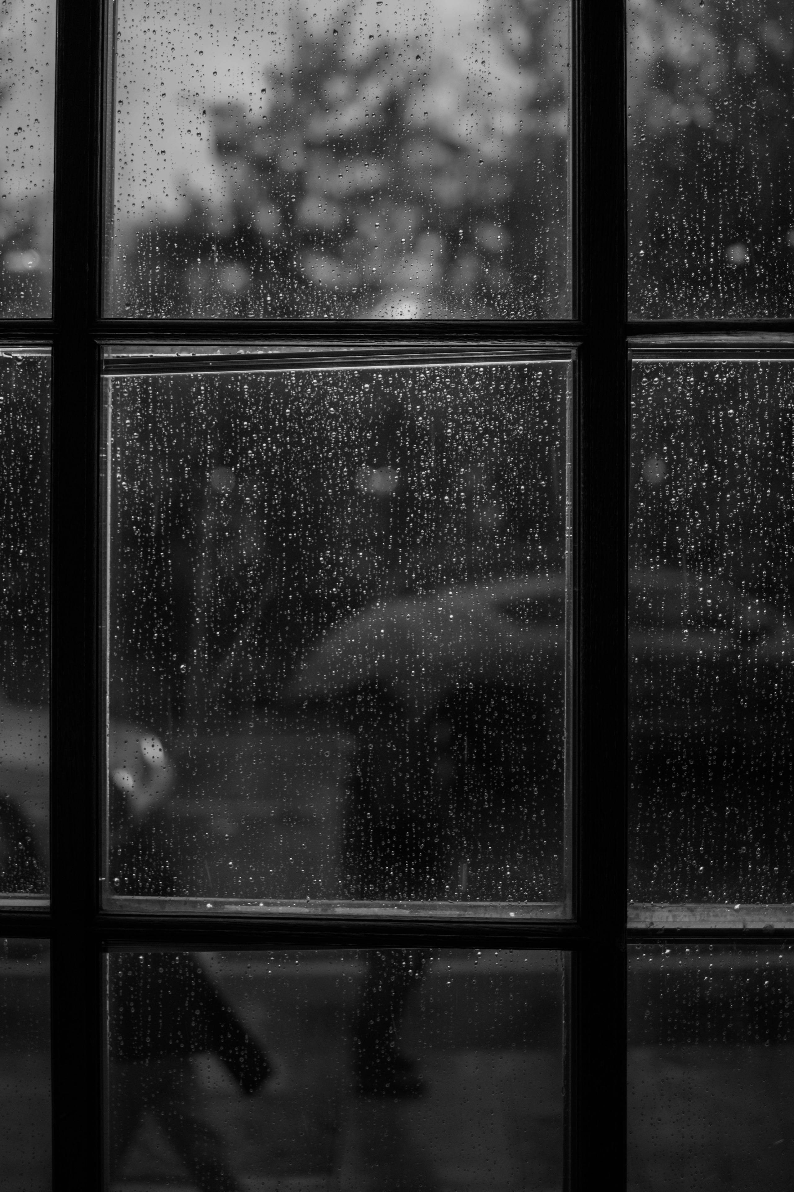 Лола & Иван. Ресторан «Пушкинъ». Оформление свадеб, декор свадеб Вера Маркова, Москва