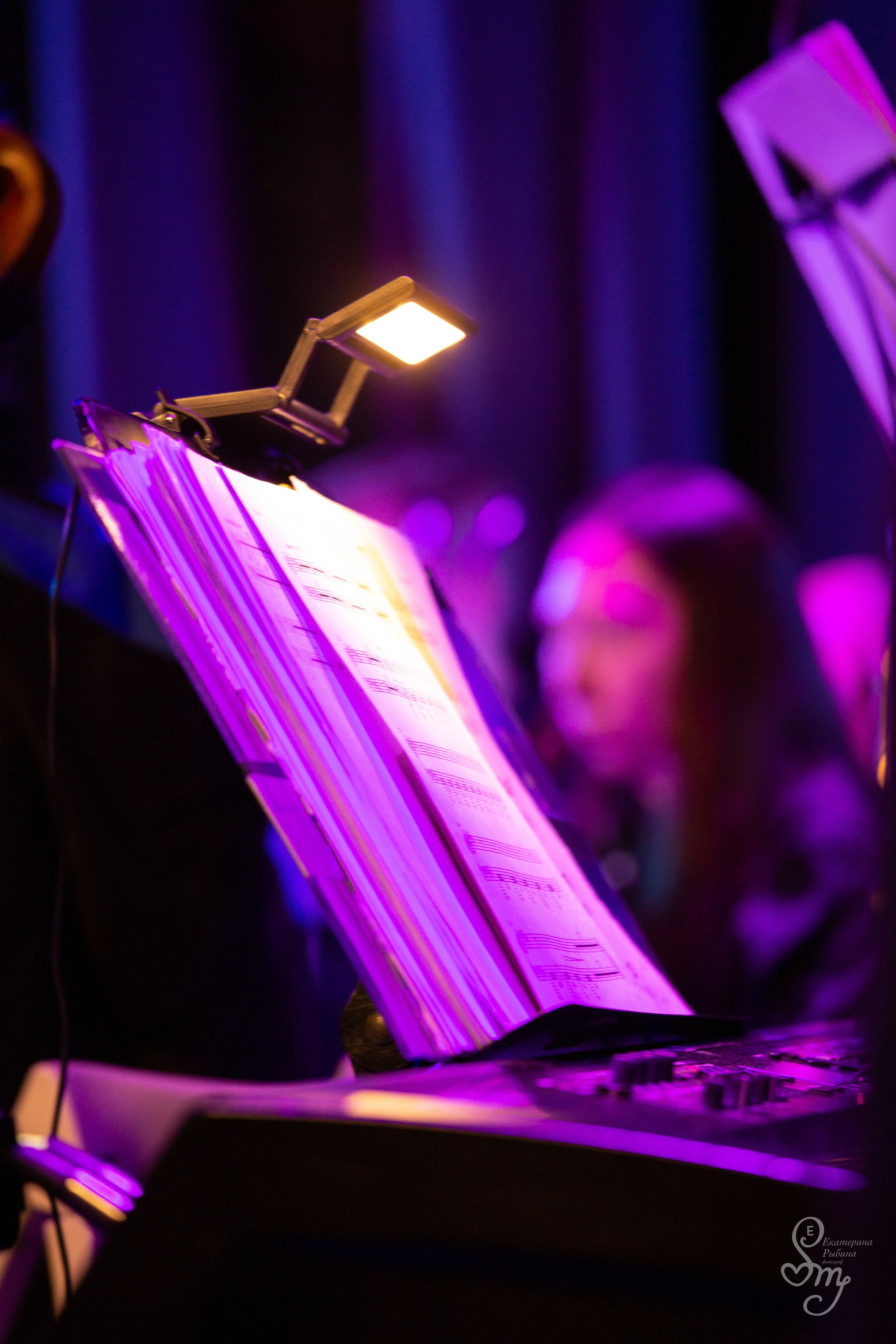 Оркестр Sonorus. Екатерина Рыбина фотограф в Нижнем Новгороде