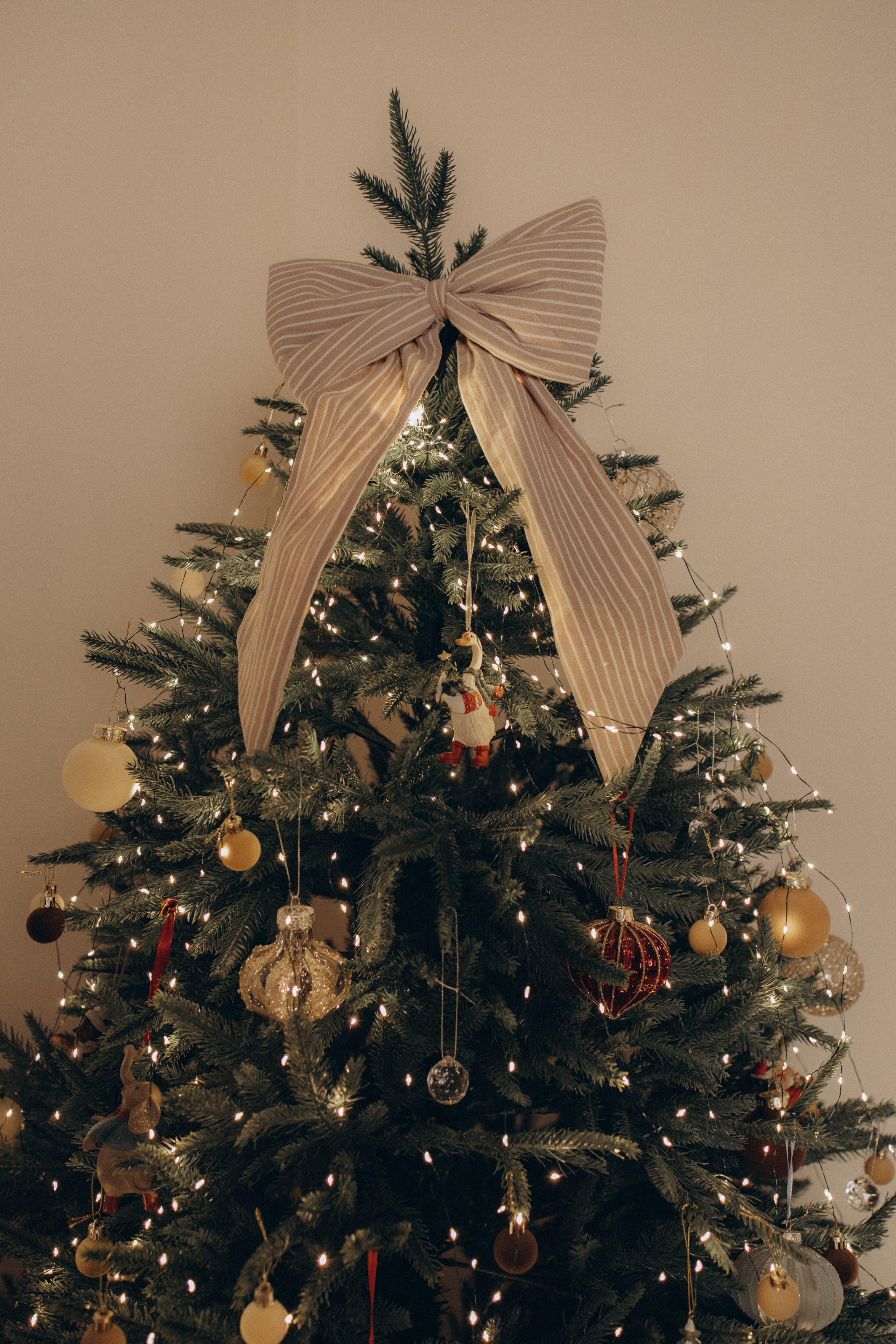 Семейная фотосессия. Свадебный фотограф Воронеж Оля Маркович