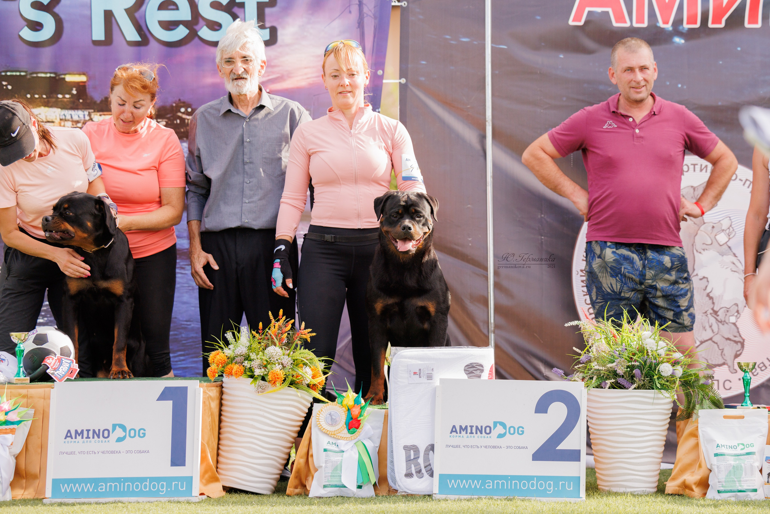 Анапа ротвейлеры 14-15.09.2024. Фотограф-анималист Юлия Германика