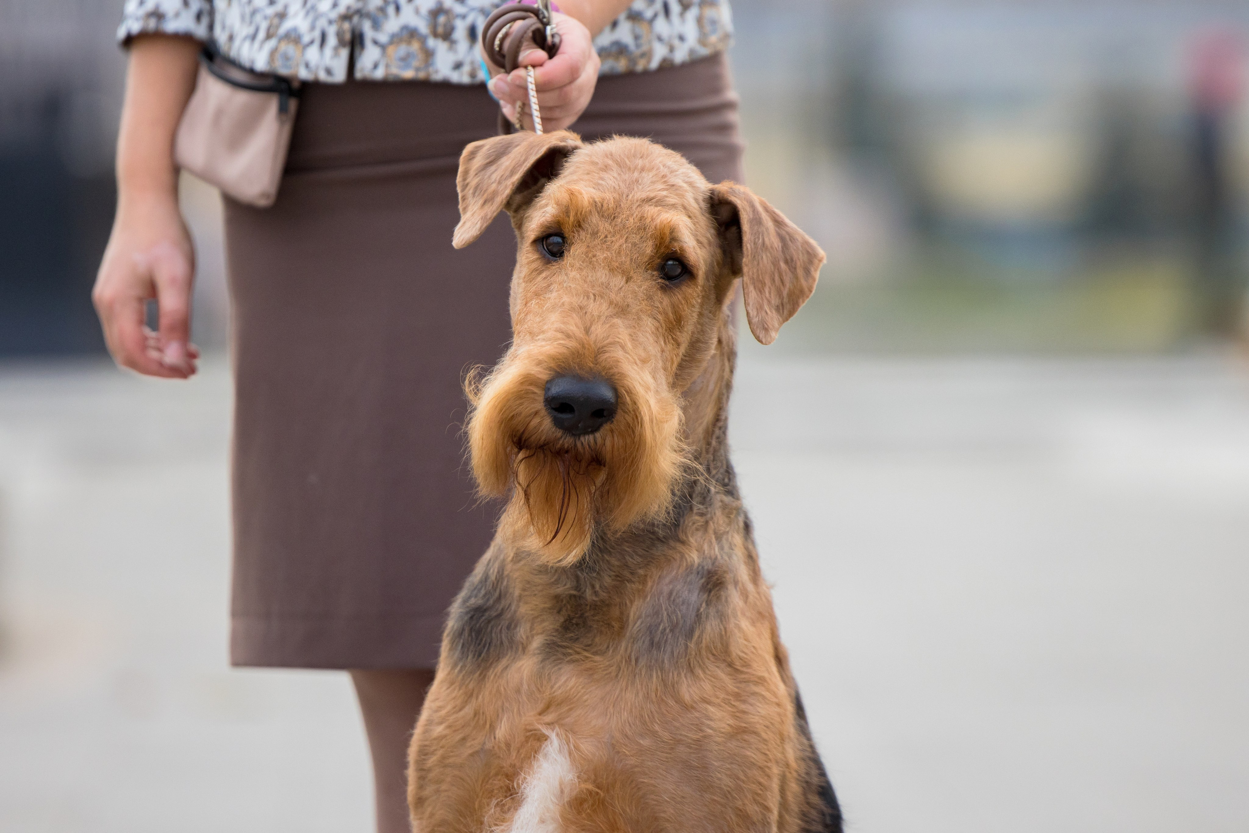 Нижний Новгород 21-22.10.2023. Фотограф-анималист Юлия Германика