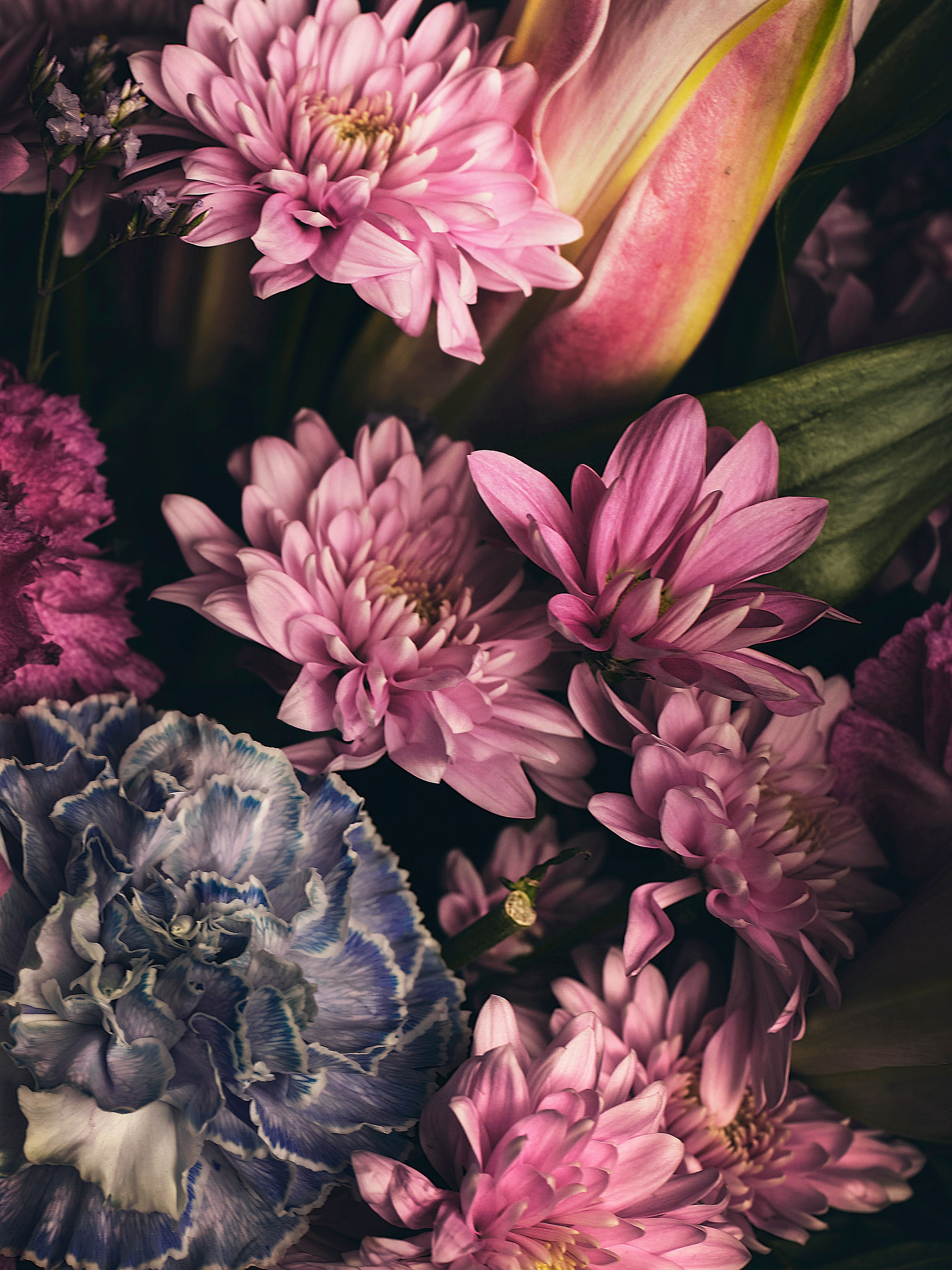 Портретный фотограф