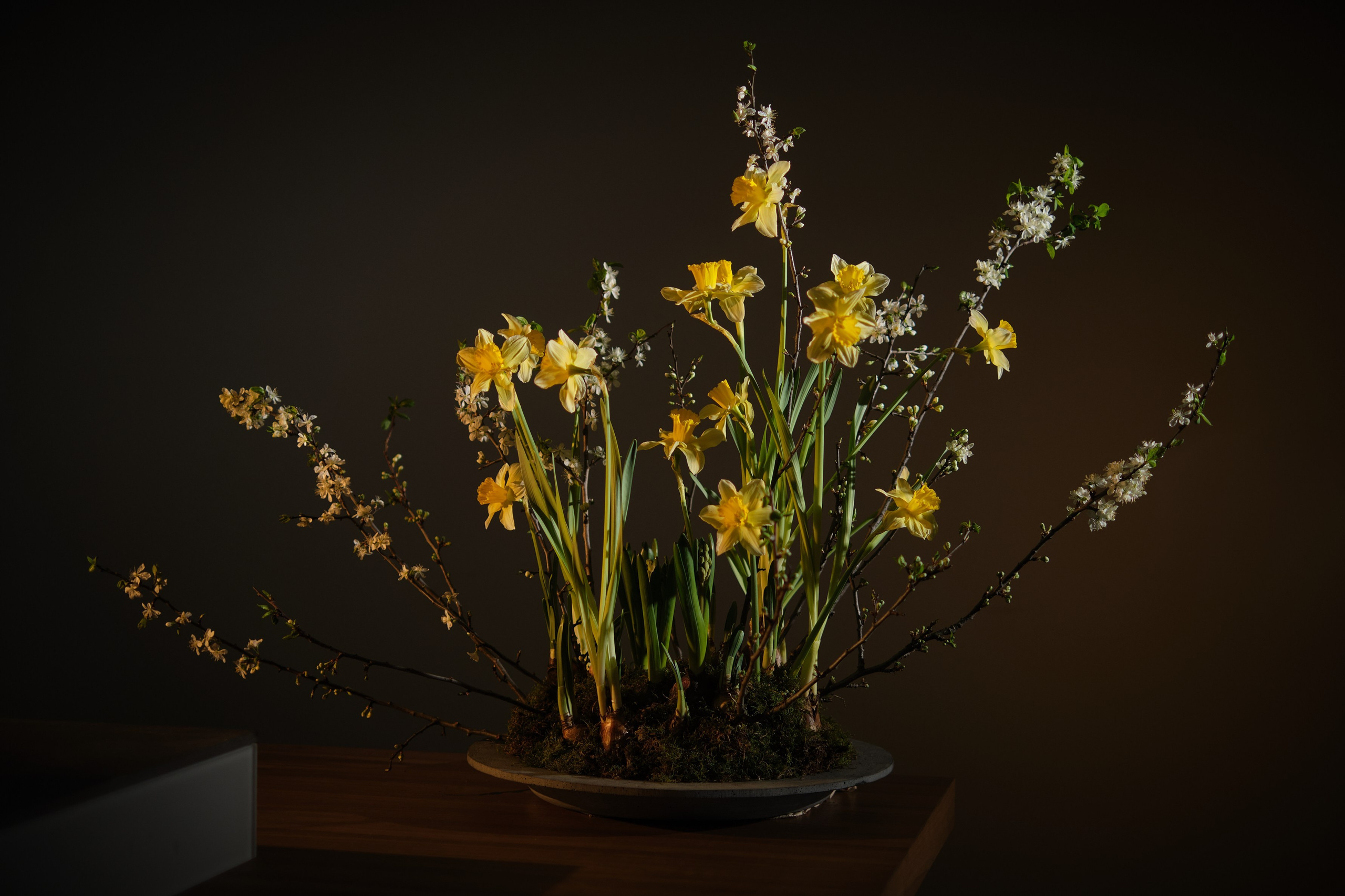 Каталоги, Лукбуки, Реклама. Фотограф и видеограф в Москве Алексей Толстиков