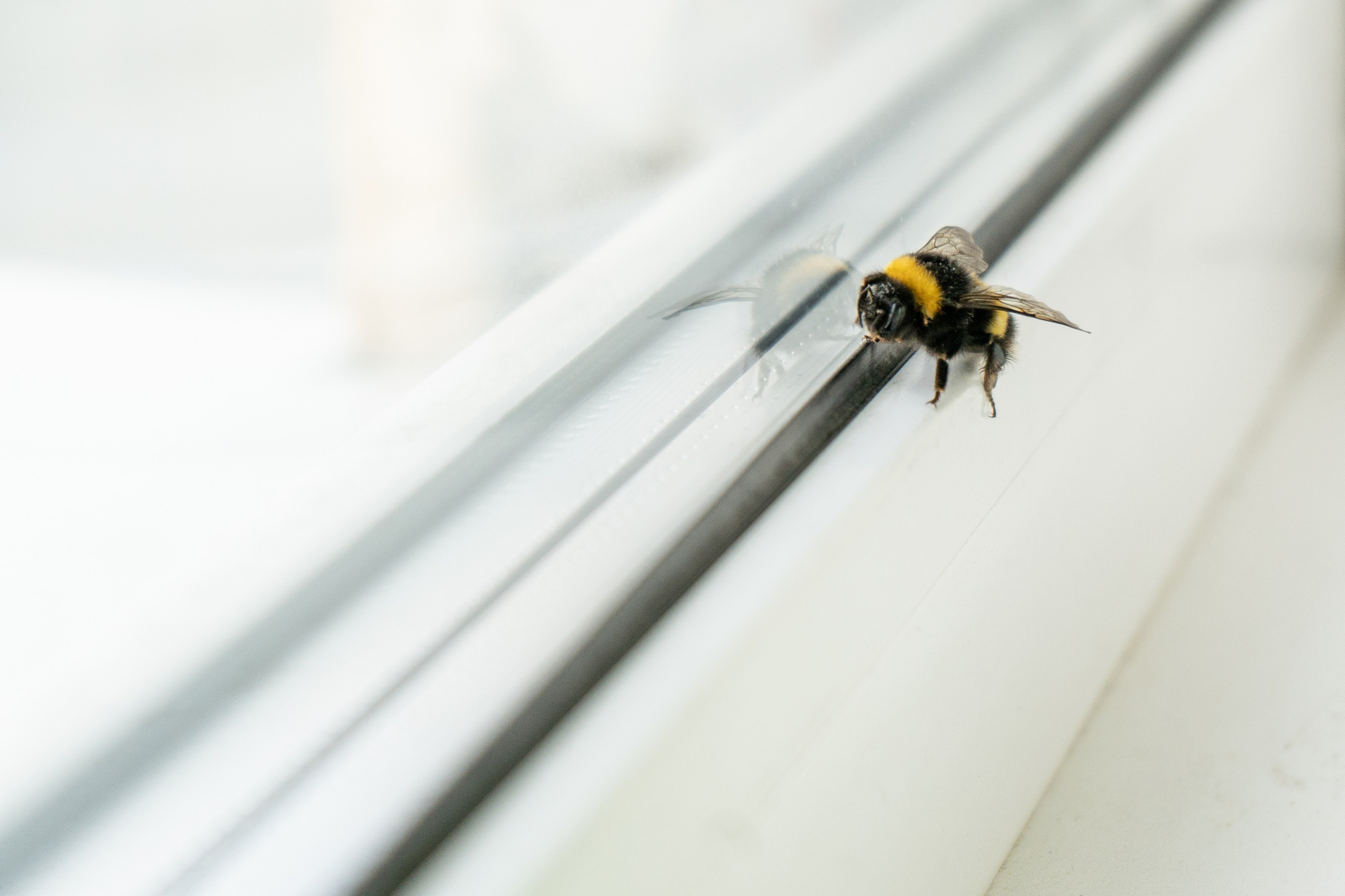 Осень. Фотограф Екатерина Зорина