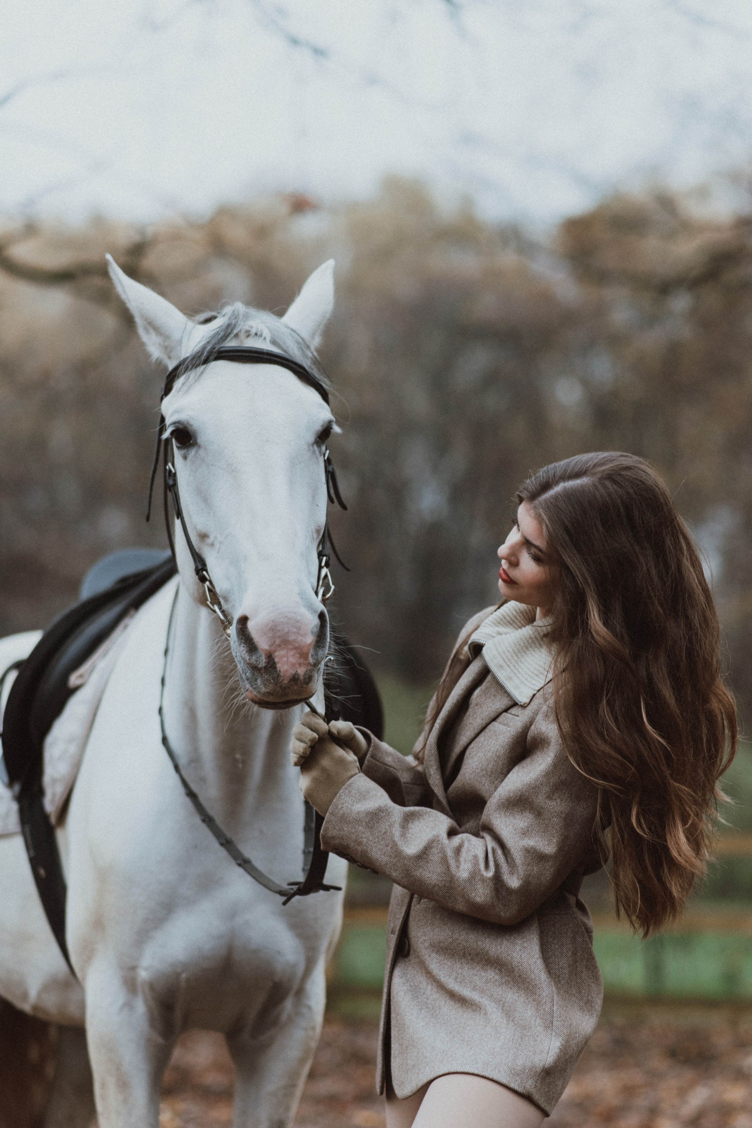 «Осенний ветер и грациозный скакун». Фотограф в Москве/Зарайске Шахова Марина