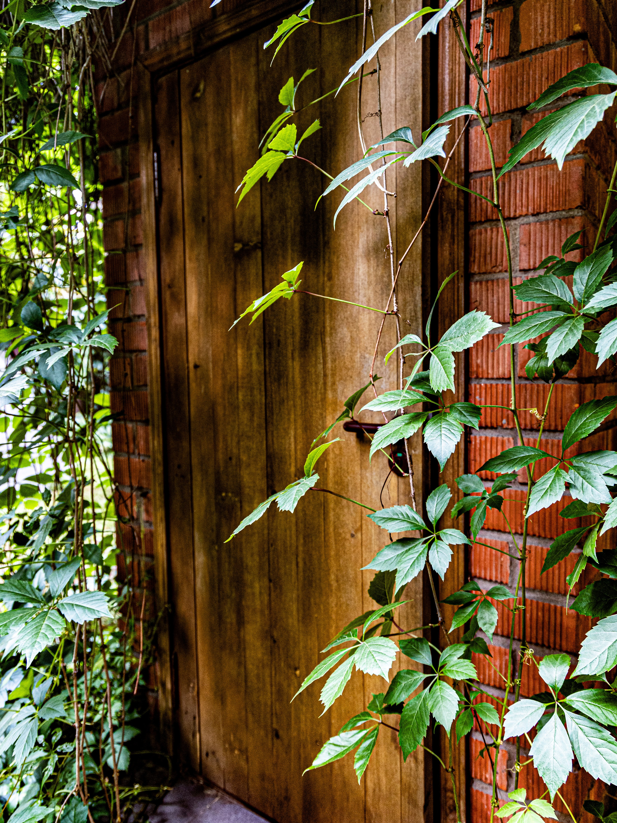 Фотограф Татьяна Марсуверских г. Жуковский, Москва и Мо. Репортажные съёмки, фотосессии. Детский, семейный фотограф. Фотограф для маркетплейсов, фотоуслуги в Жуковском Татьяна Марсуверских