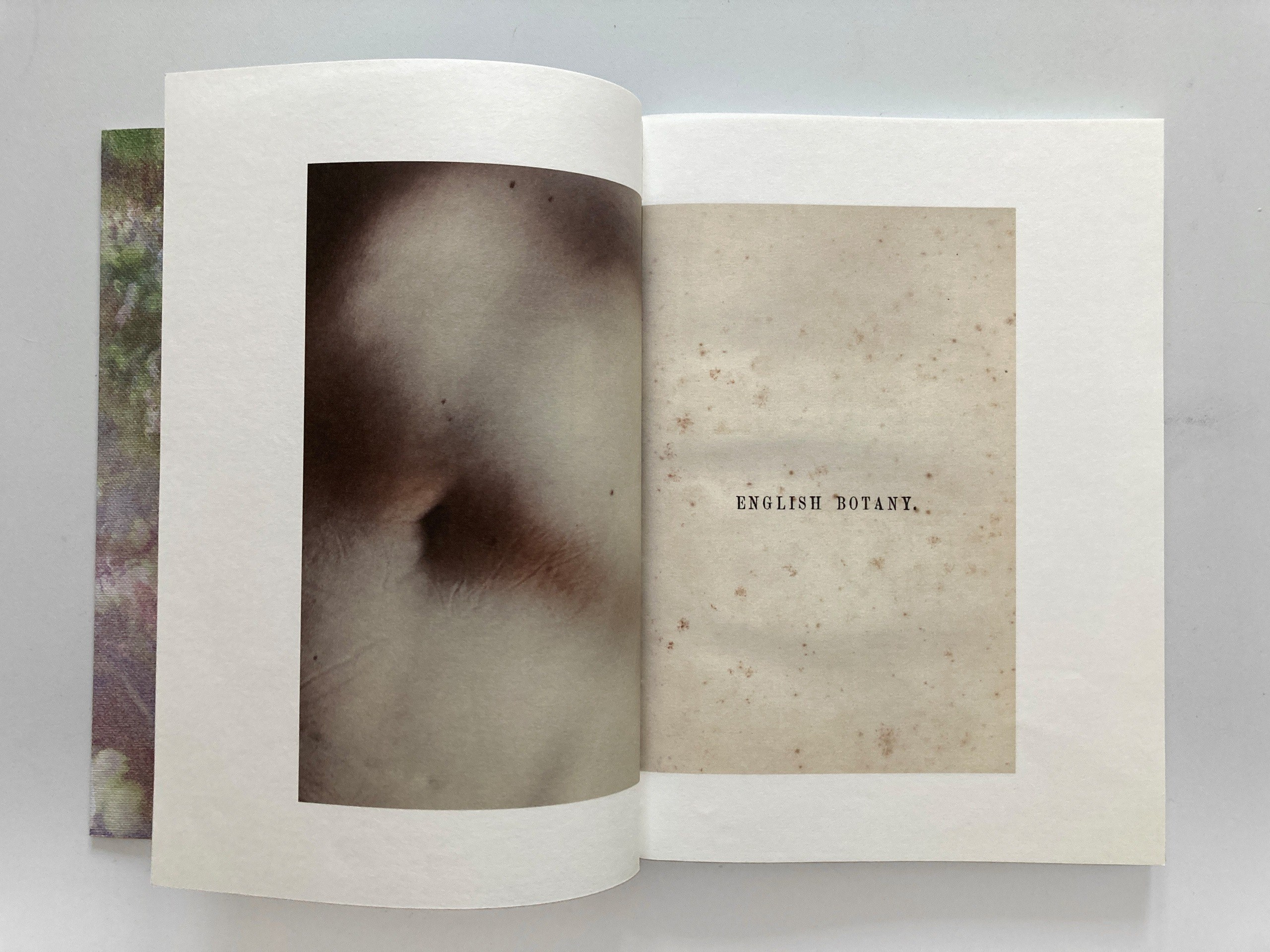 ОБЗОР АКТУАЛЬНЫХ ФОТОКНИГ: САД ЗЕМНЫХ НАСЛАЖДЕНИЙ. Самоорганизация Низина