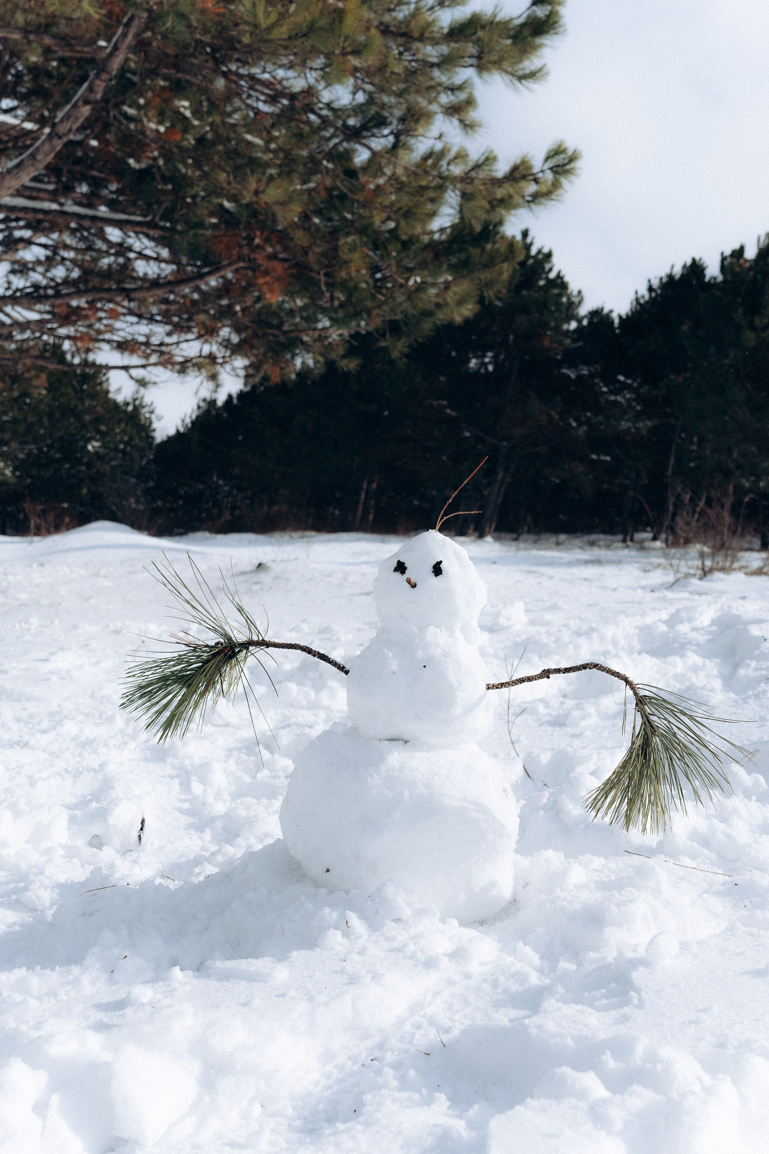 Саша и Даня | Снежный денек. Портретный свадебный фотограф Крым | Евгения Щитенко