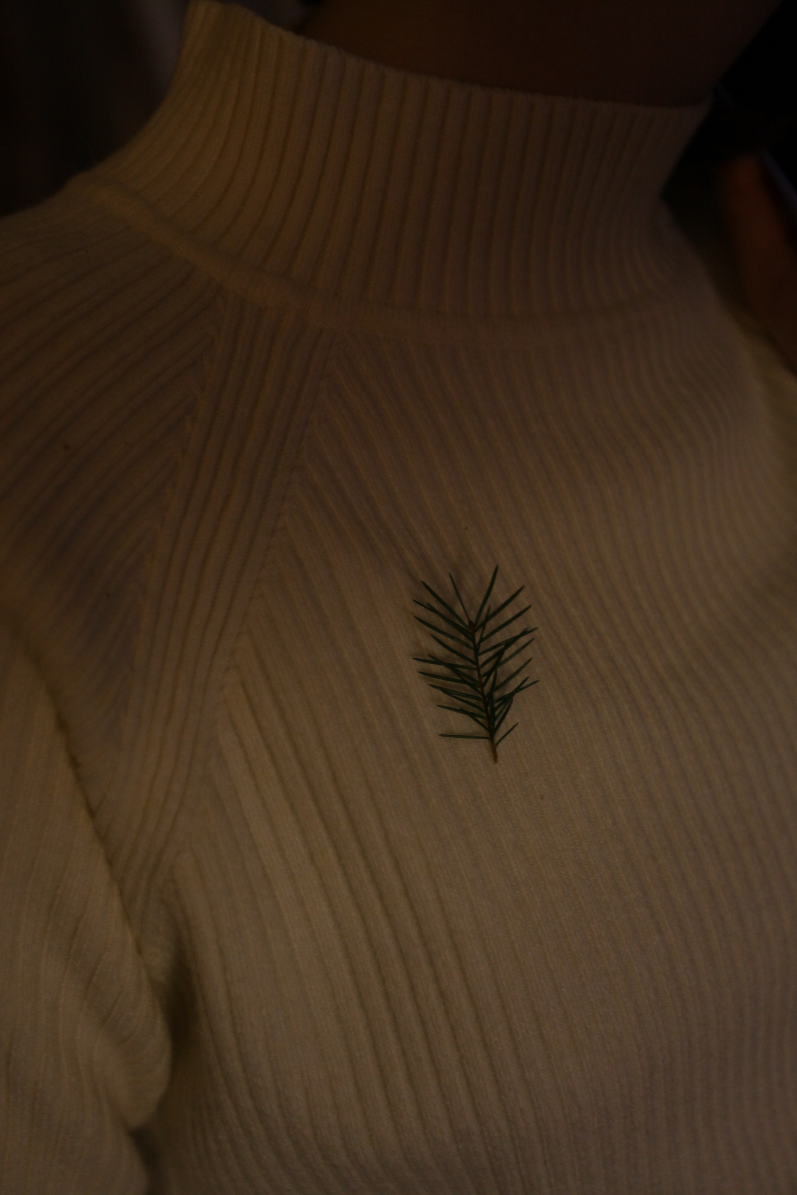 А Н Н А. Фотостудия UPART