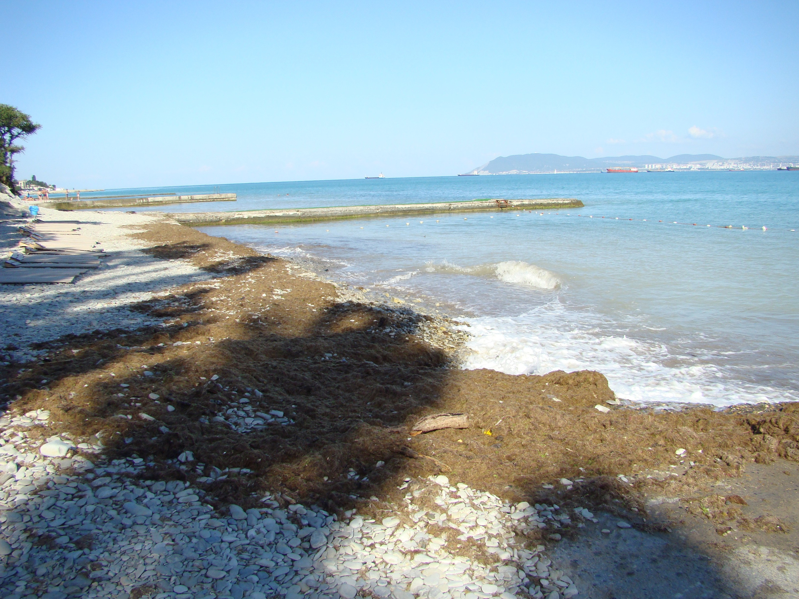 Кабардинка (фото Зевиных) 25.06-24.07.2008. Семейный, Свадебный фотограф СПБ Питер— Романова Екатерина