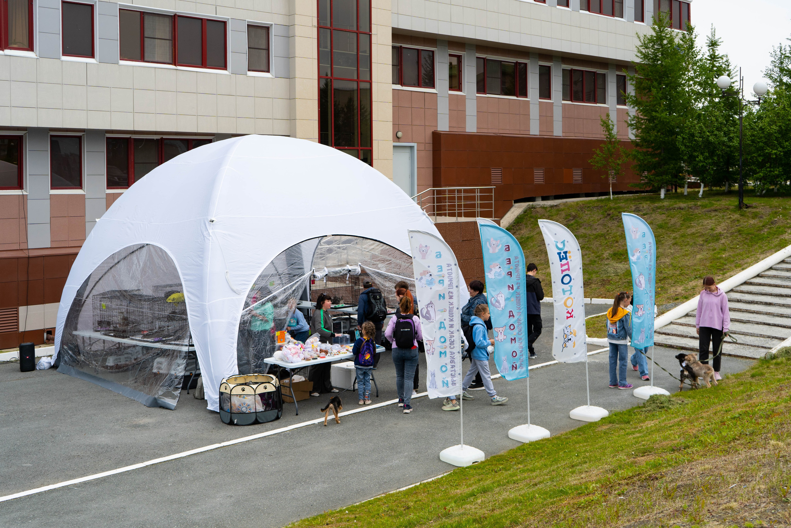 Проект «Бери домой». Фотограф Екатерина Зорина