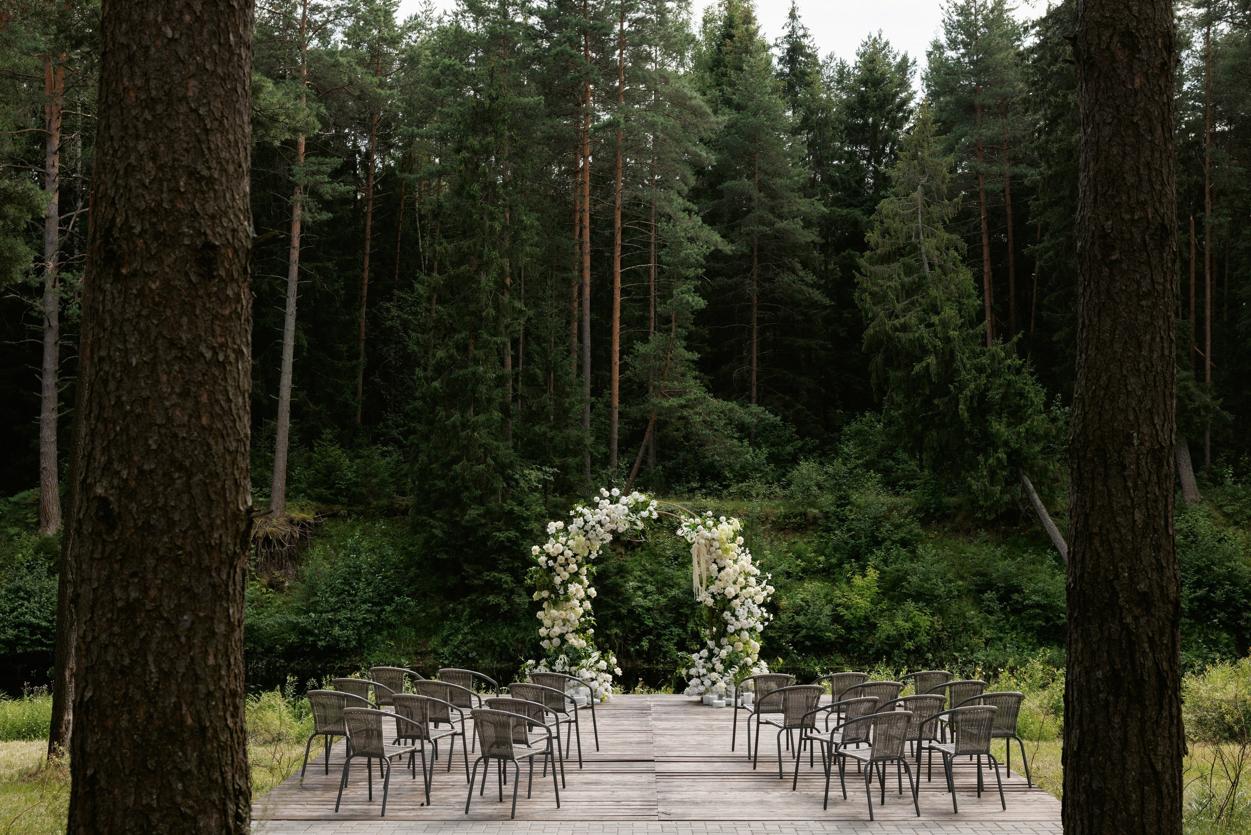Свадьба под шёпот деревьев. Свадебный и семейный фотограф в Твери, Москве, Санкт-Петербурге