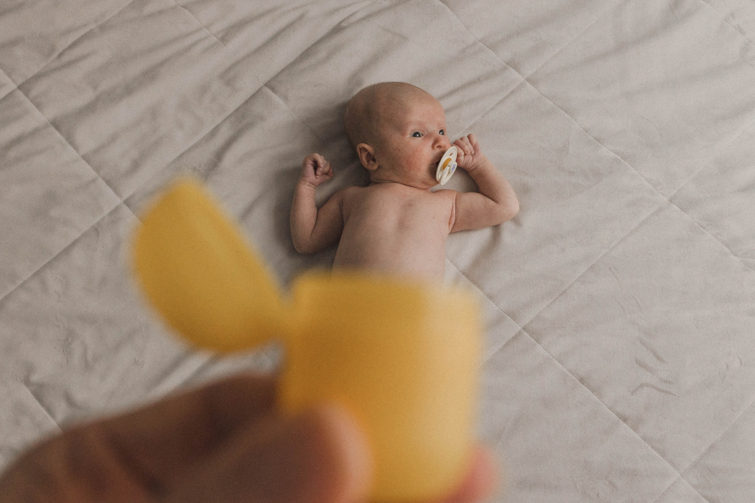 Степашке 1 месяц. Семейный фотограф в Москве