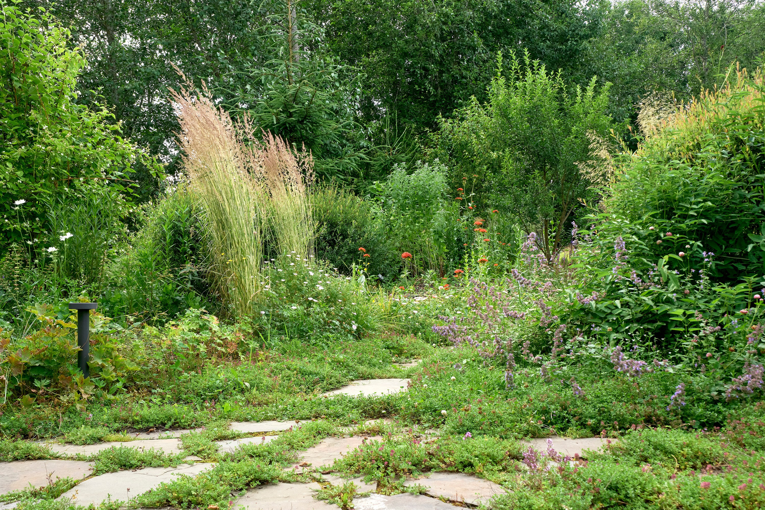 Ландшафтный и интерьерный фотограф Наталья Соловьева. Фотосъемка частного сада в&nbsp;Ломоносовском районе для ландшафтного дизайнера Анаит Акопян и&nbsp;студии ВСЕВСАД | interioto