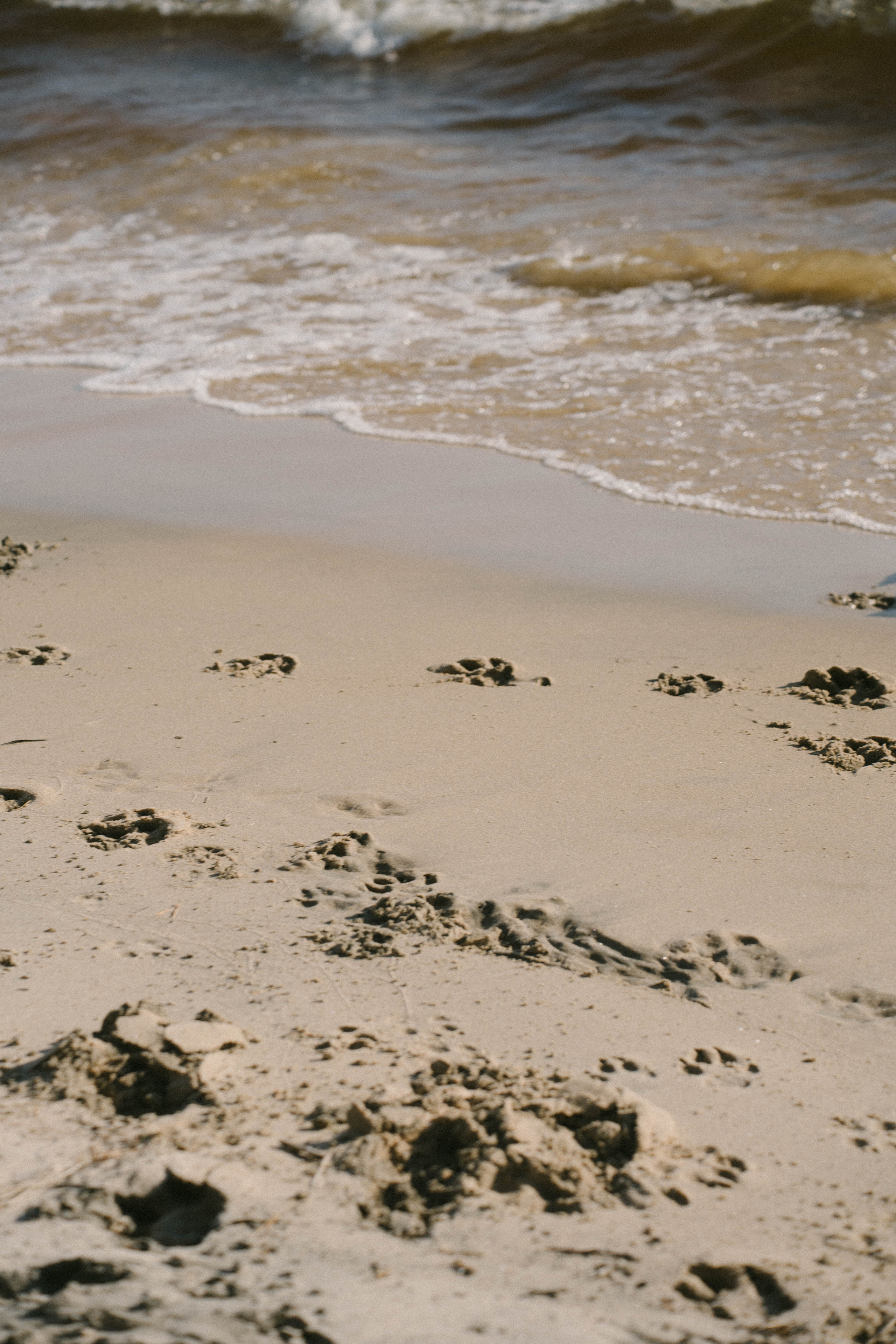 Маша + Федя. Фотограф Яна Сафина