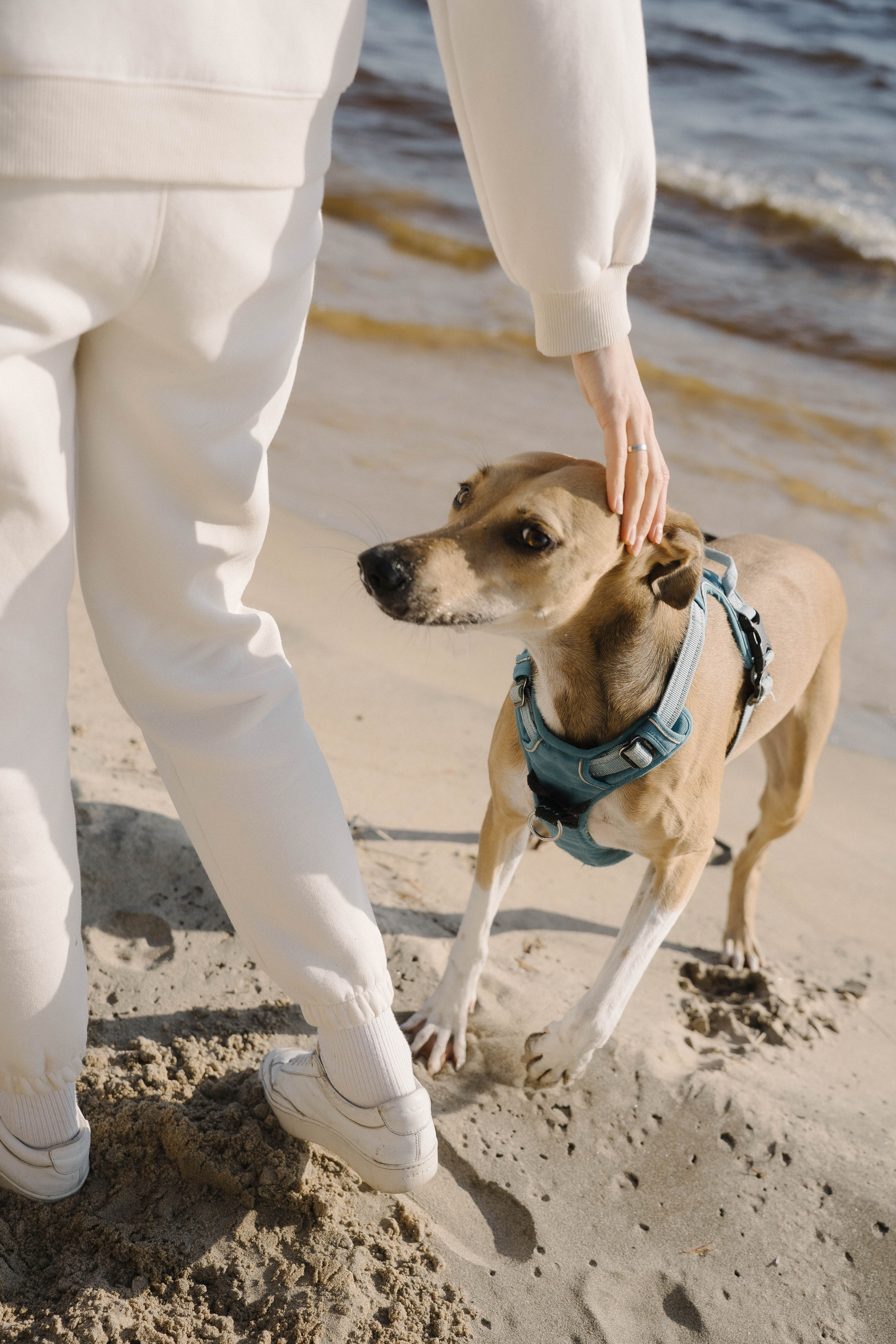 Маша + Федя. Фотограф Яна Сафина