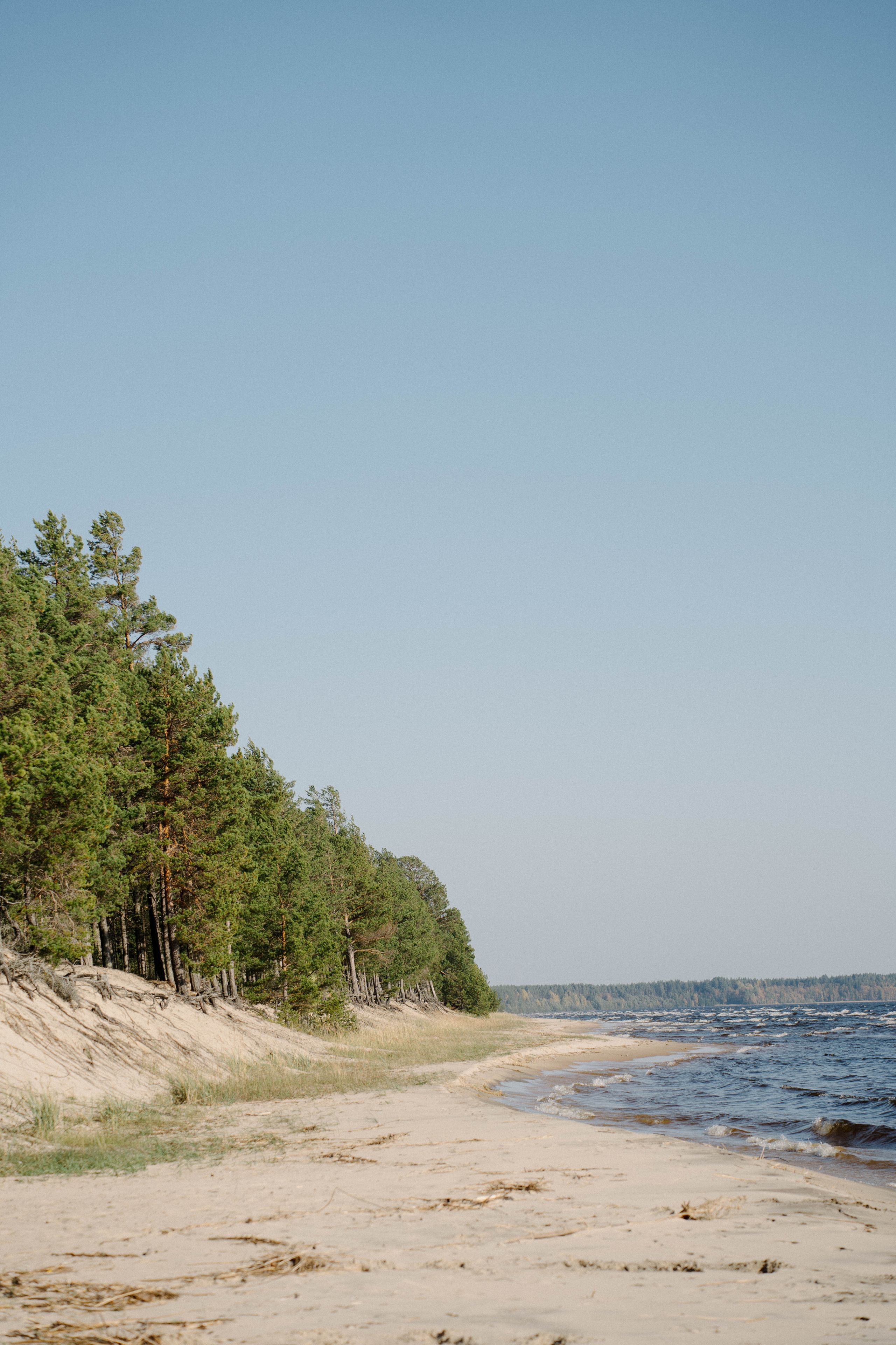 Маша + Федя. Фотограф Яна Сафина