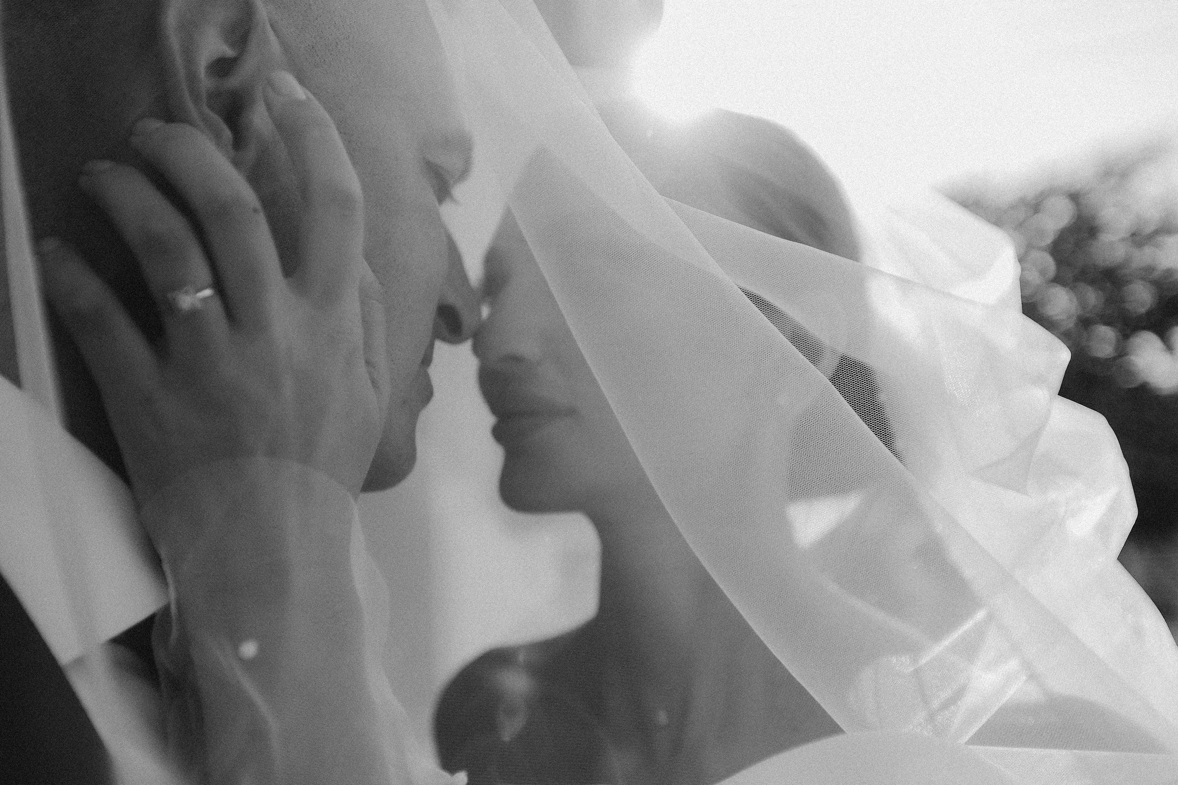 Алексеева Татьяна свадебный фотограф Краснодар, Краснодарский край