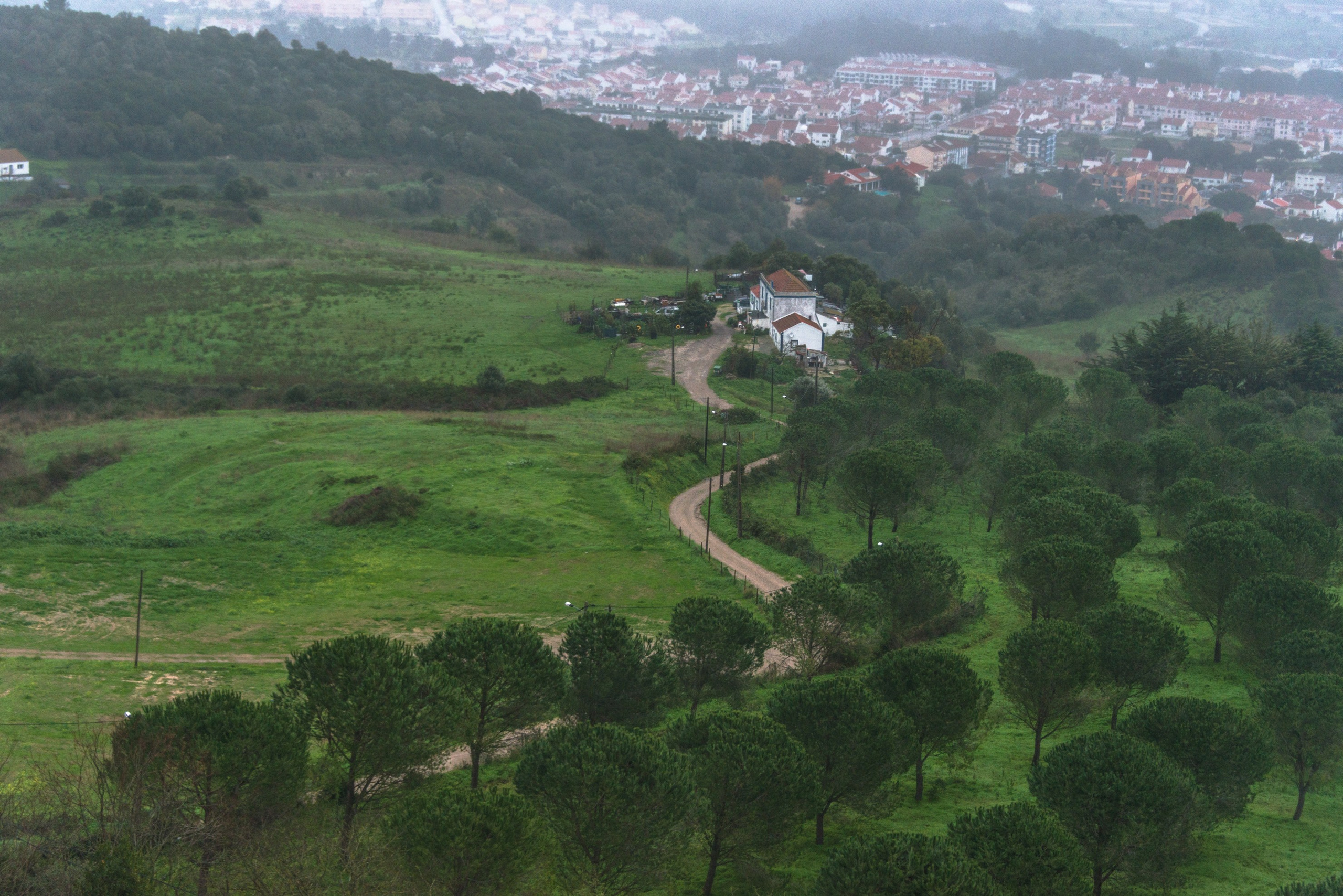 Palmela