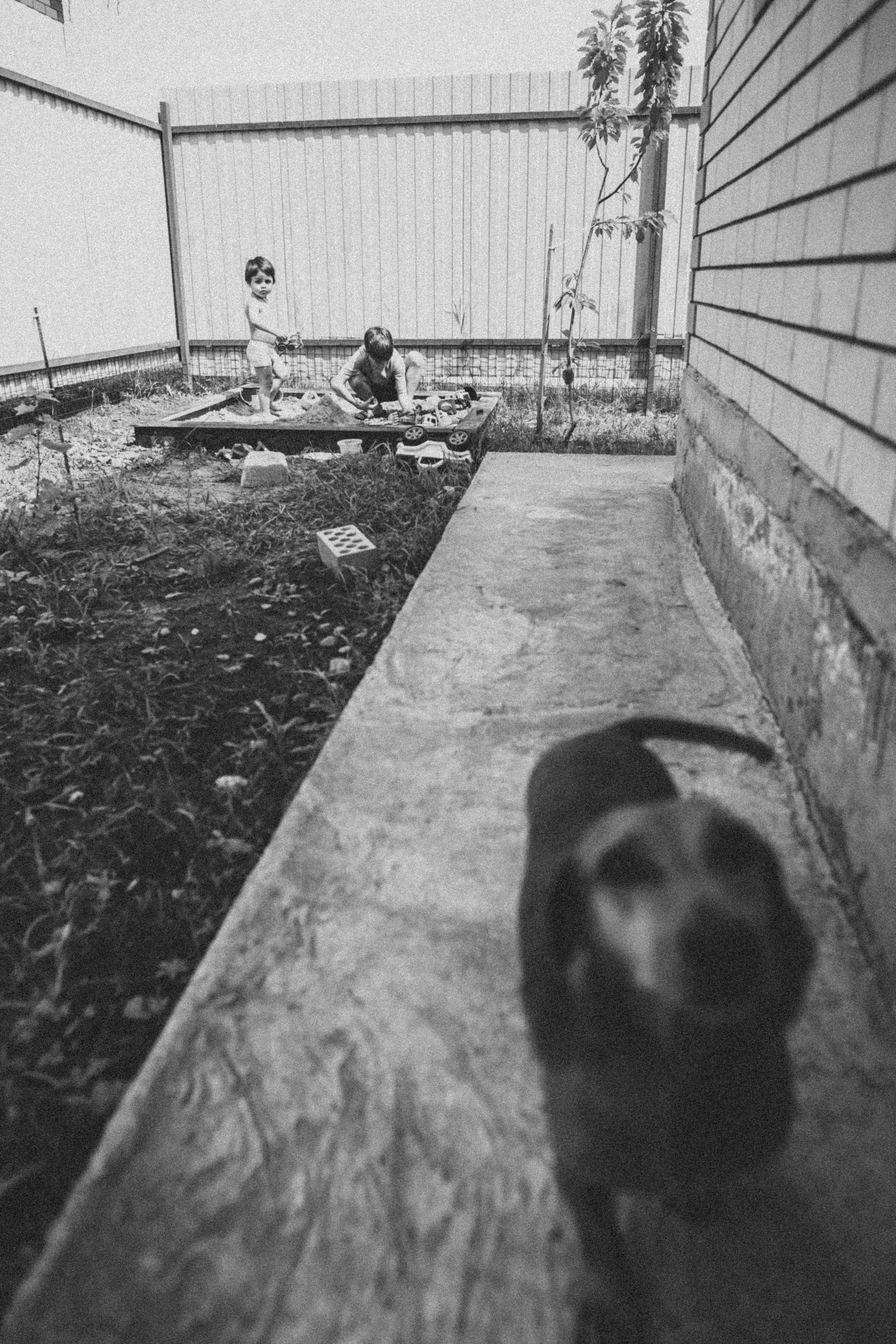 Саша Даня Илюша. Семейный фотограф в Краснодаре Анна Пасик