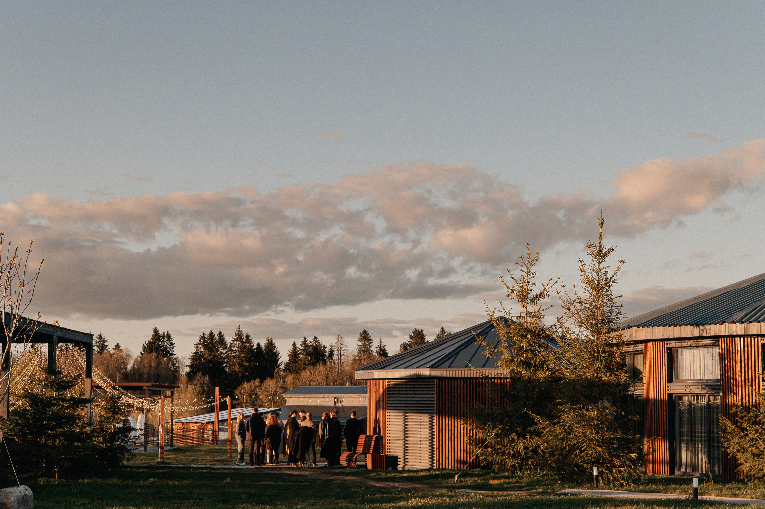 ANONS. Мария — Свадебный фотограф